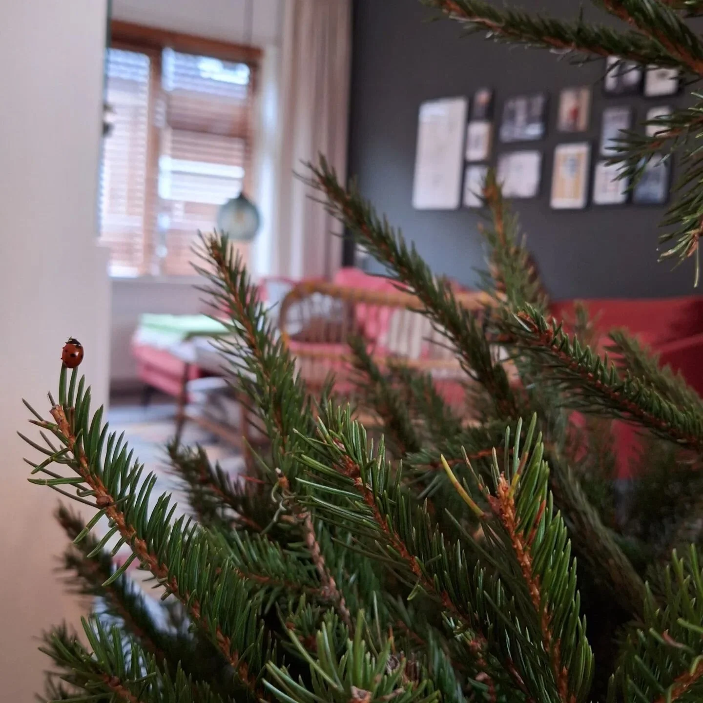 Een aantal jaren geleden kwam ik er mee in aanraking, het geloof. Een vriend nodigde me uit voor een kerkdienst. &lsquo;Laat maar even bezinken&rsquo; zei hij, &lsquo;ik hoor van zelf wel of je mee wil&rsquo;. De lessen godsdienst gingen door mijn ho