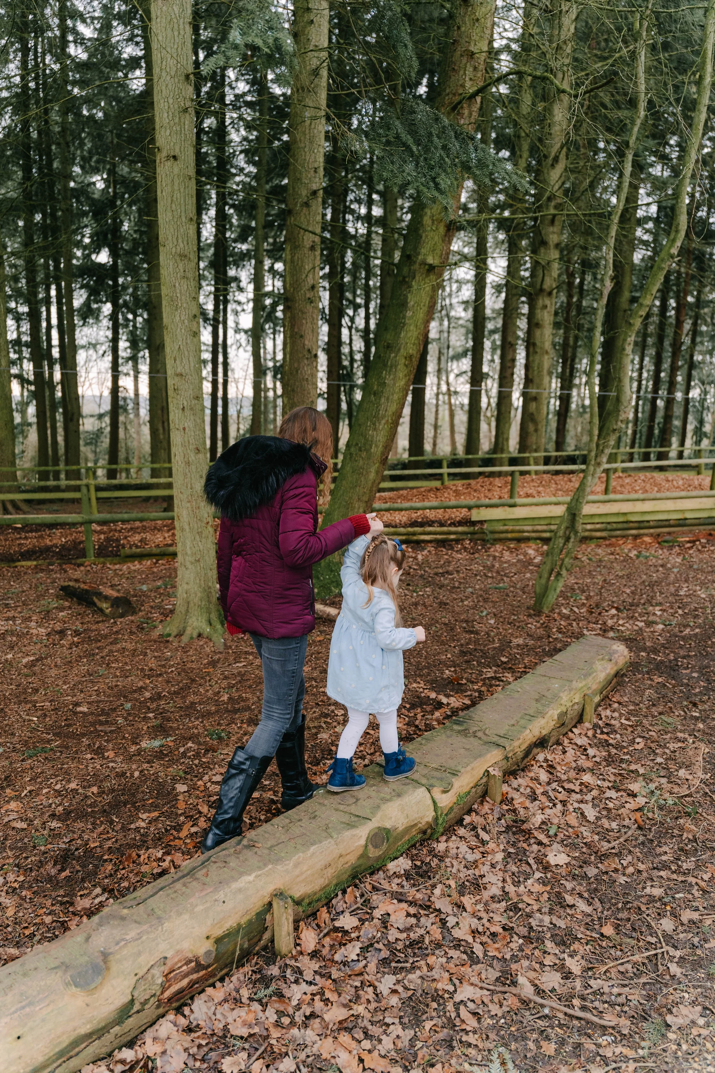 A woman and a young girl are walking along a wooden log in a forest, surrounded by trees and fallen leaves.