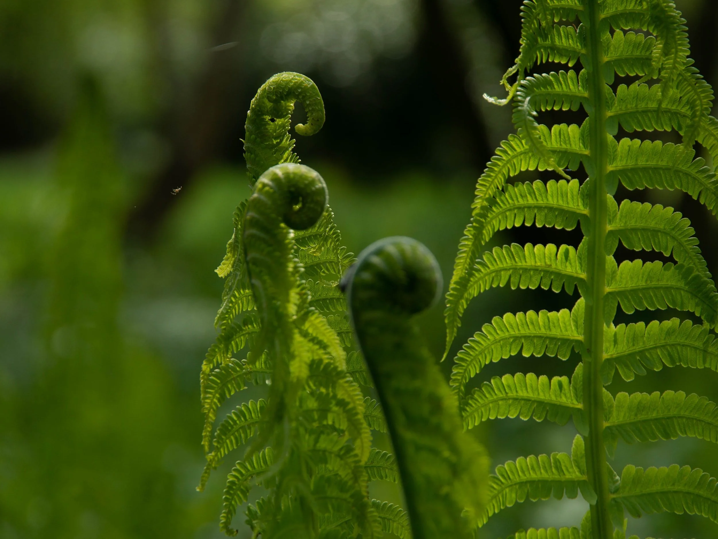 unsplash-image-DgUpp-DJWBo.jpg
