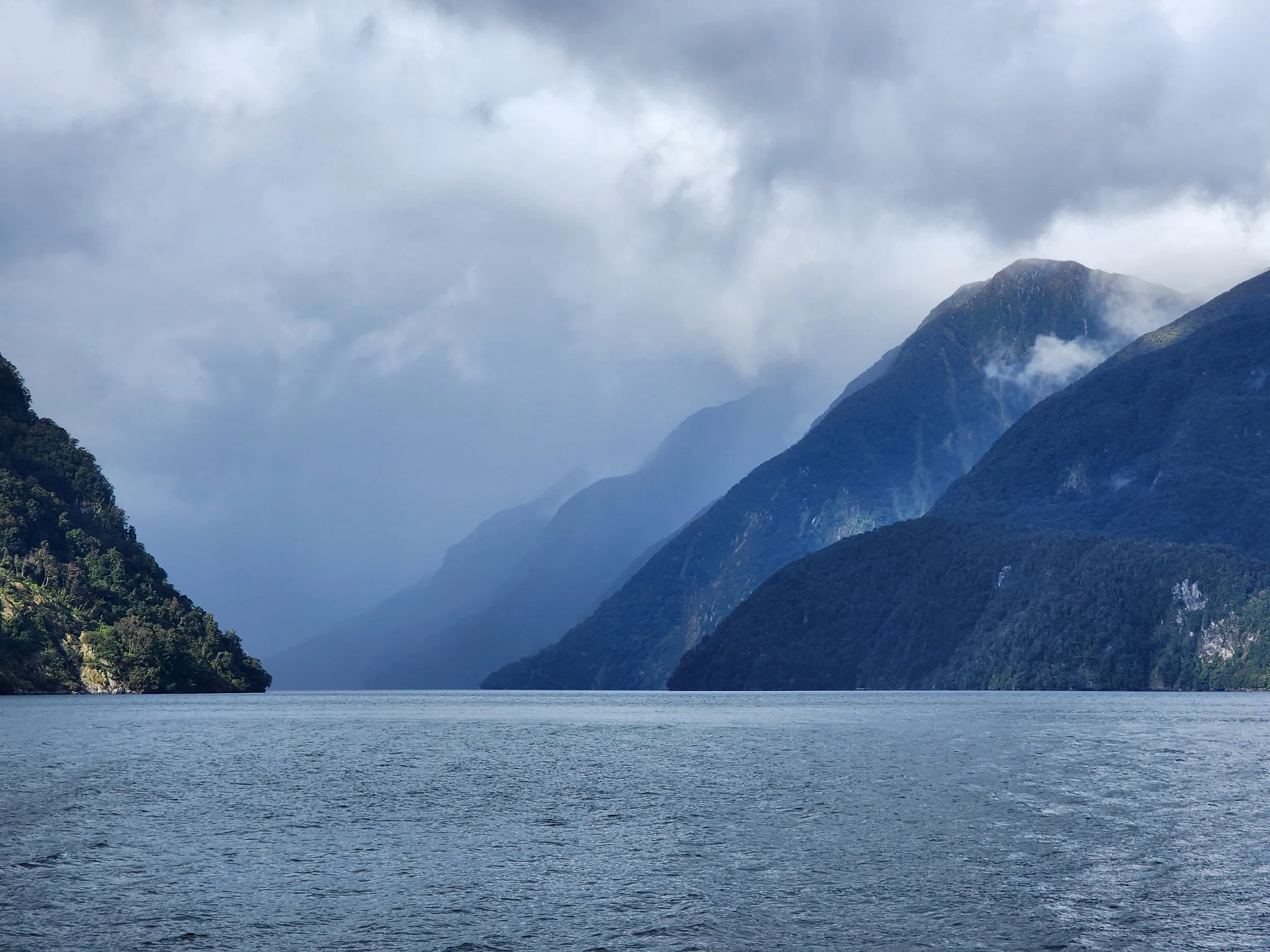 PateaDoubtfulSound (1).jpg