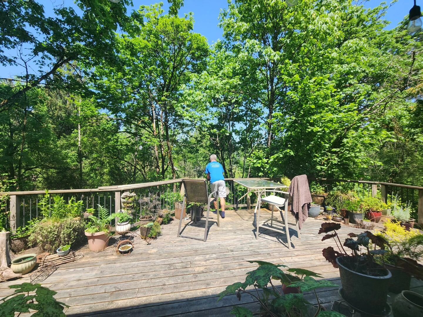 Our home in Portland Oregon for the last few days, hosted by artist, sculptor @carole_murphy in her home just outside Portland in the country, with lots of trees! And many spaces filled with inspiration and artist tools! 

Walking downstairs opening 
