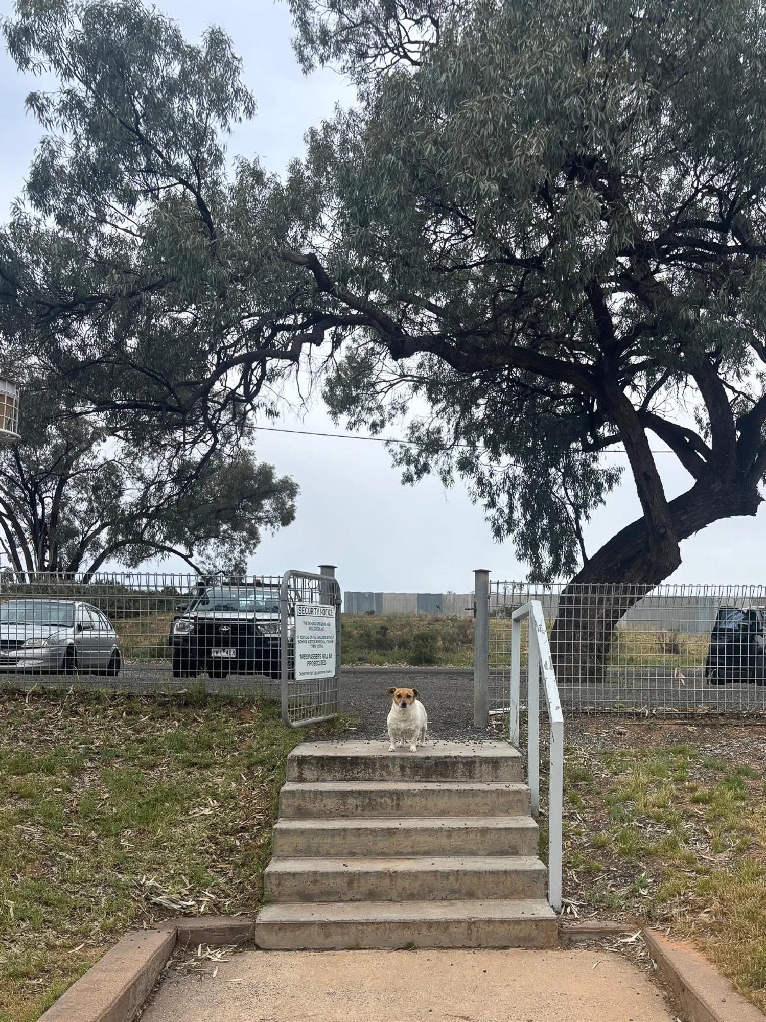 AHE _  AHE Broken Hill   _ image AHE.jpg