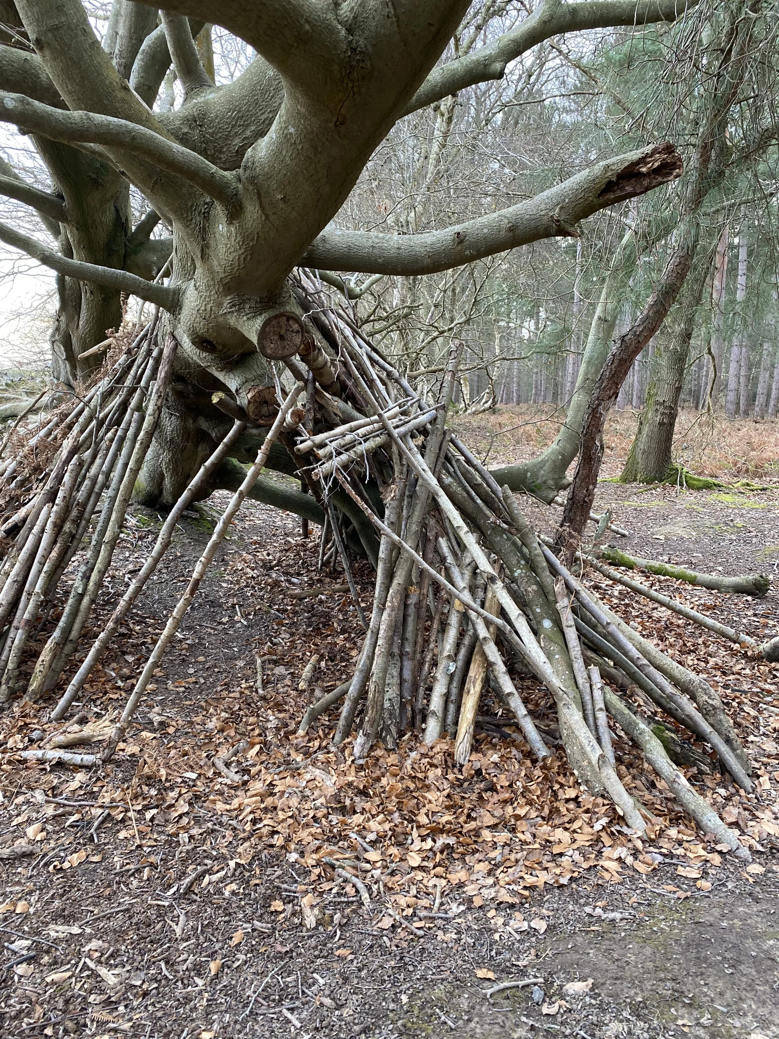 Jack's den close-up.jpeg