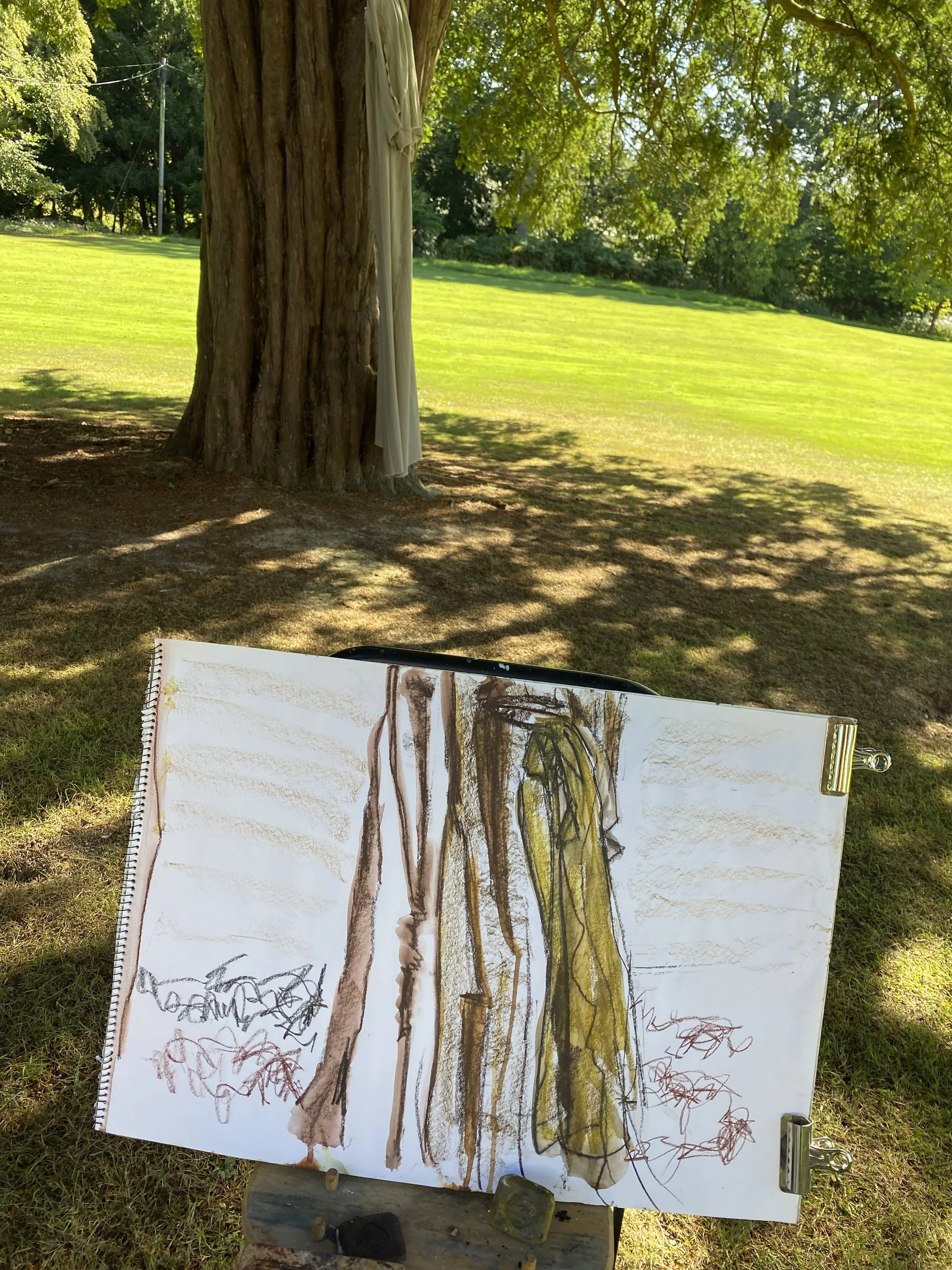 Sketch of linen on Yew tree .jpeg