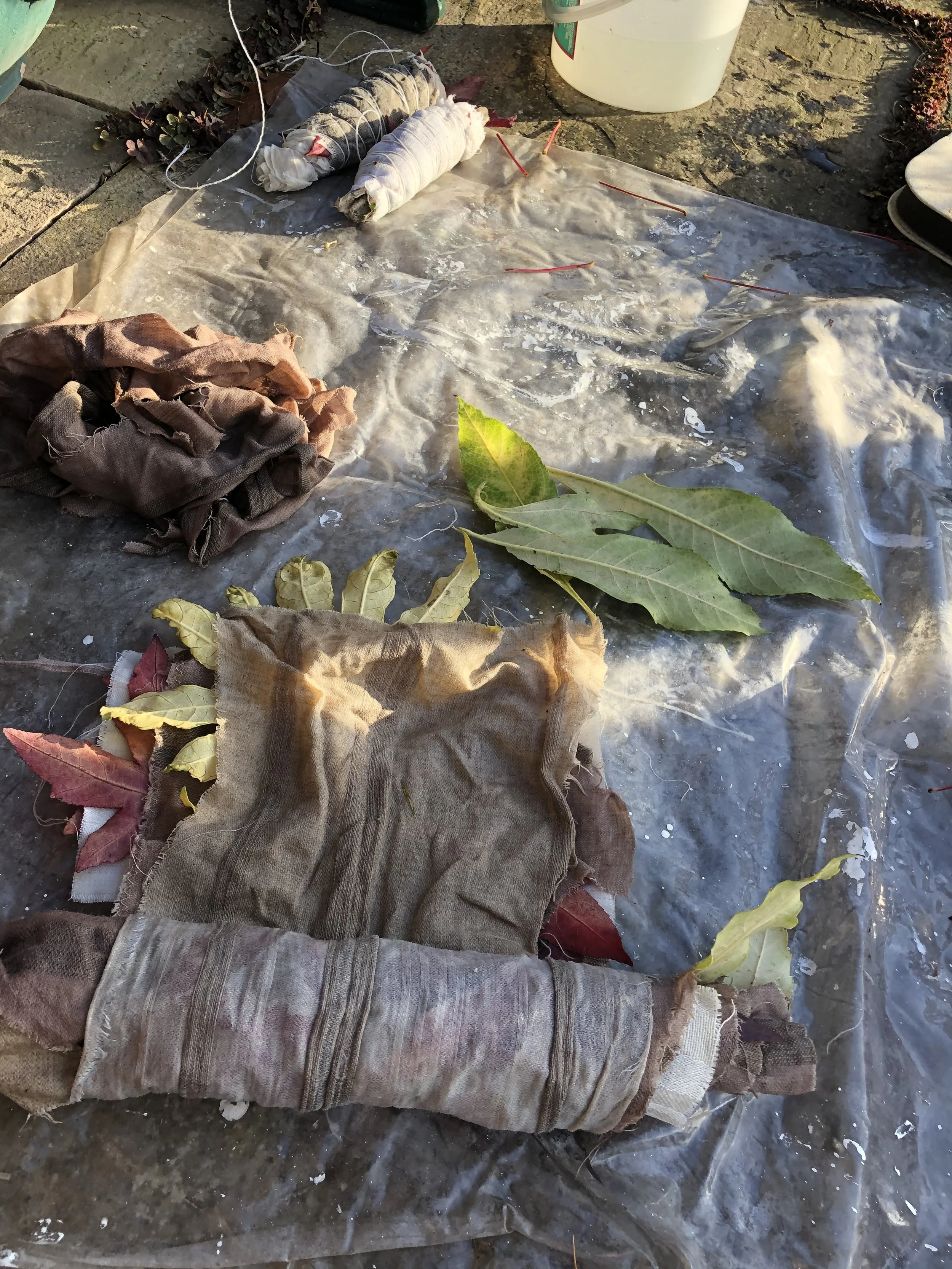 Eco-dying prep.jpeg