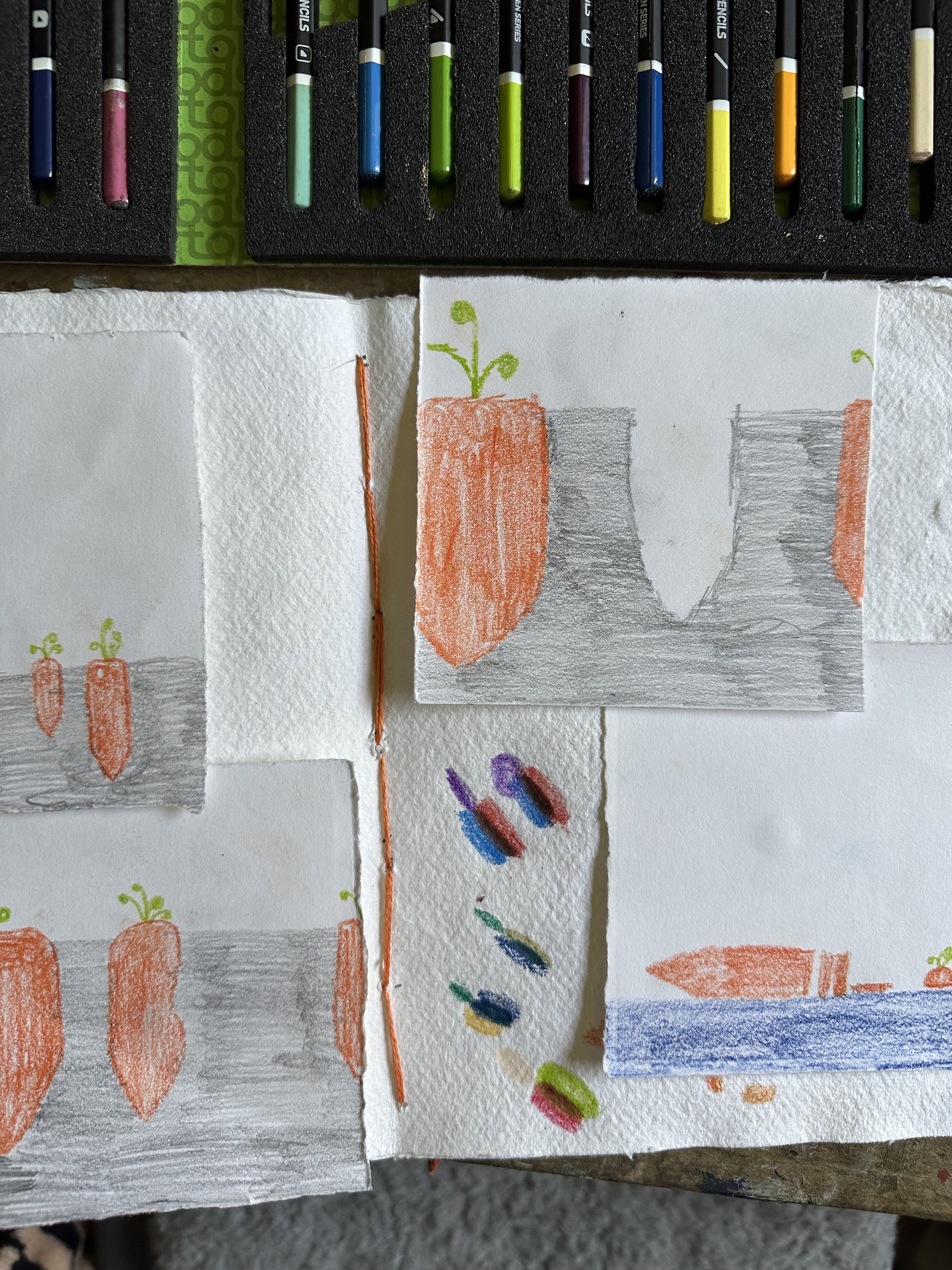 Carrots growing.jpeg