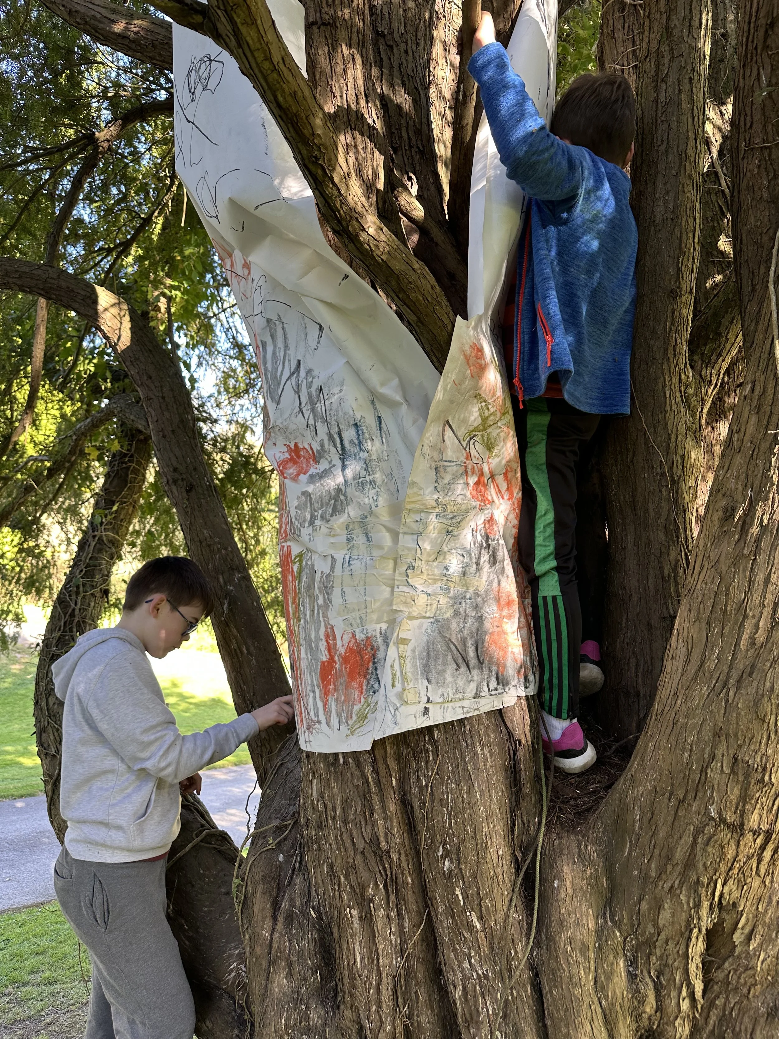 Tree rubbing.jpeg
