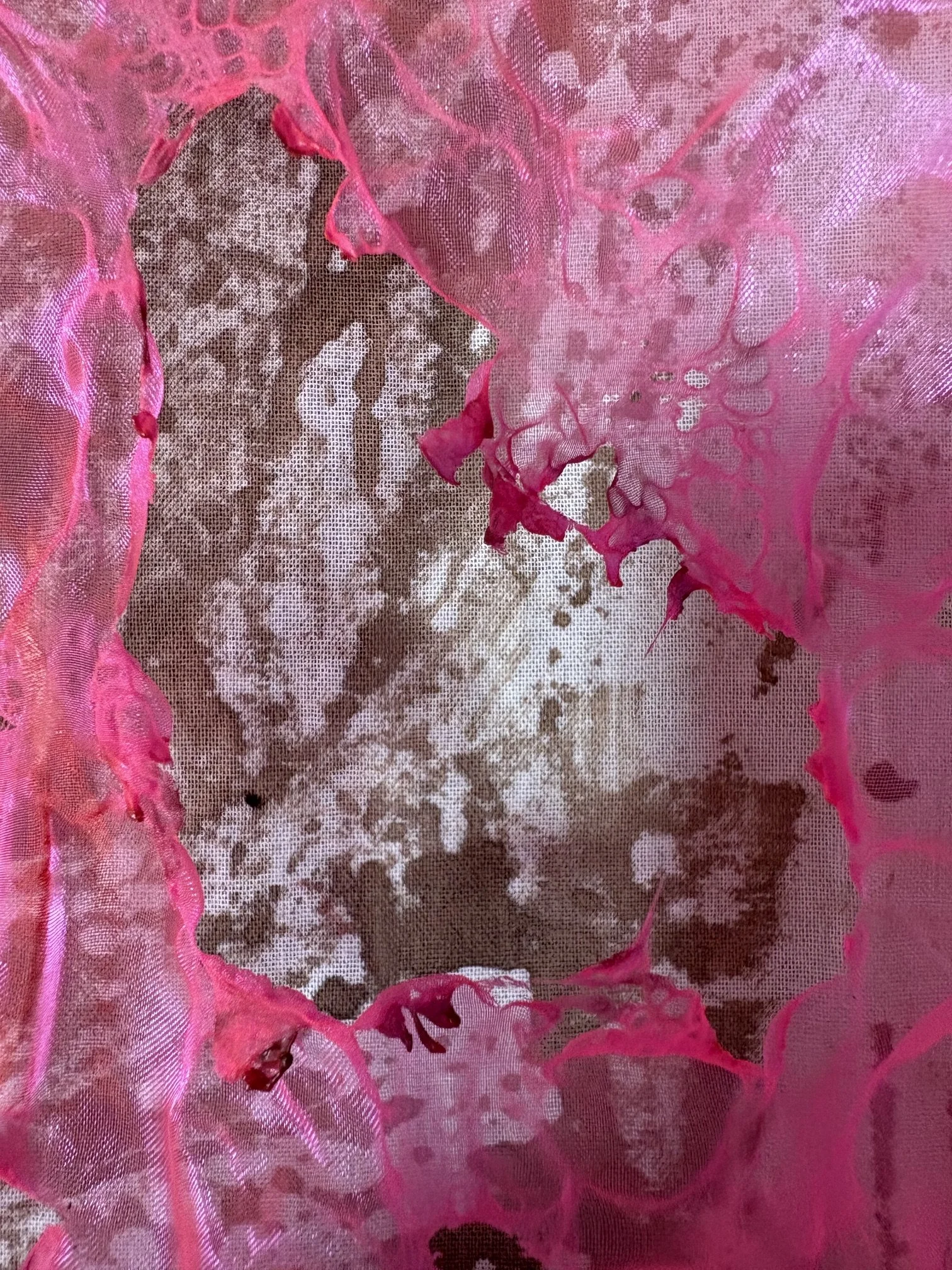 Colour Conversations