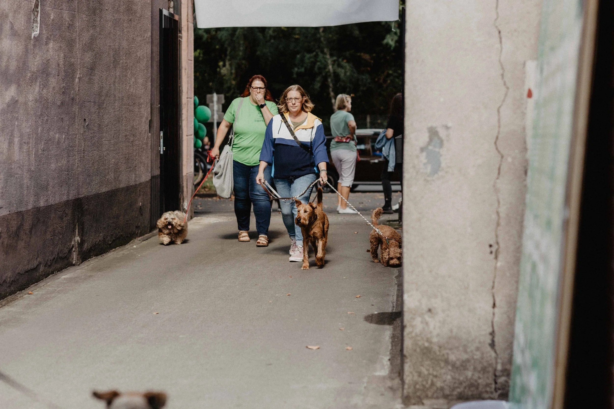 GELSENPAWS2025-103.jpg