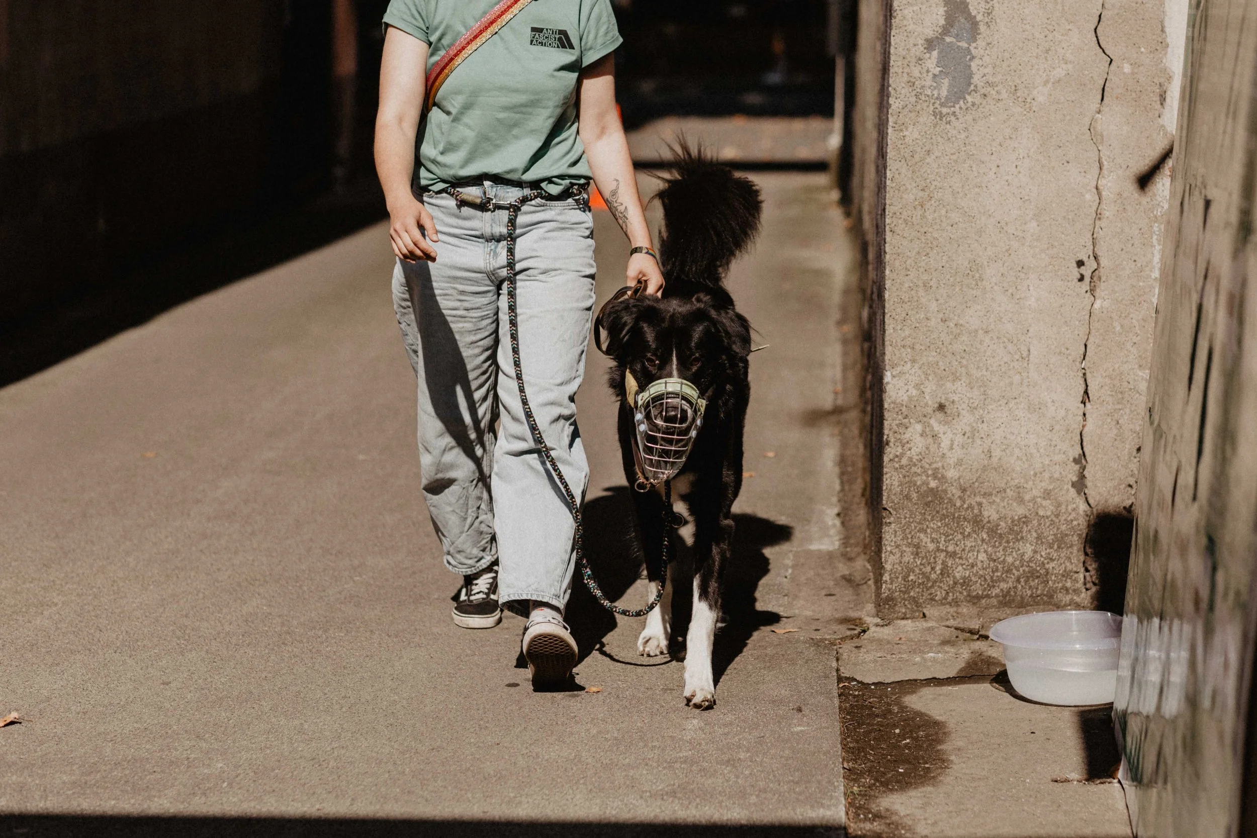 GELSENPAWS2025-112.jpg