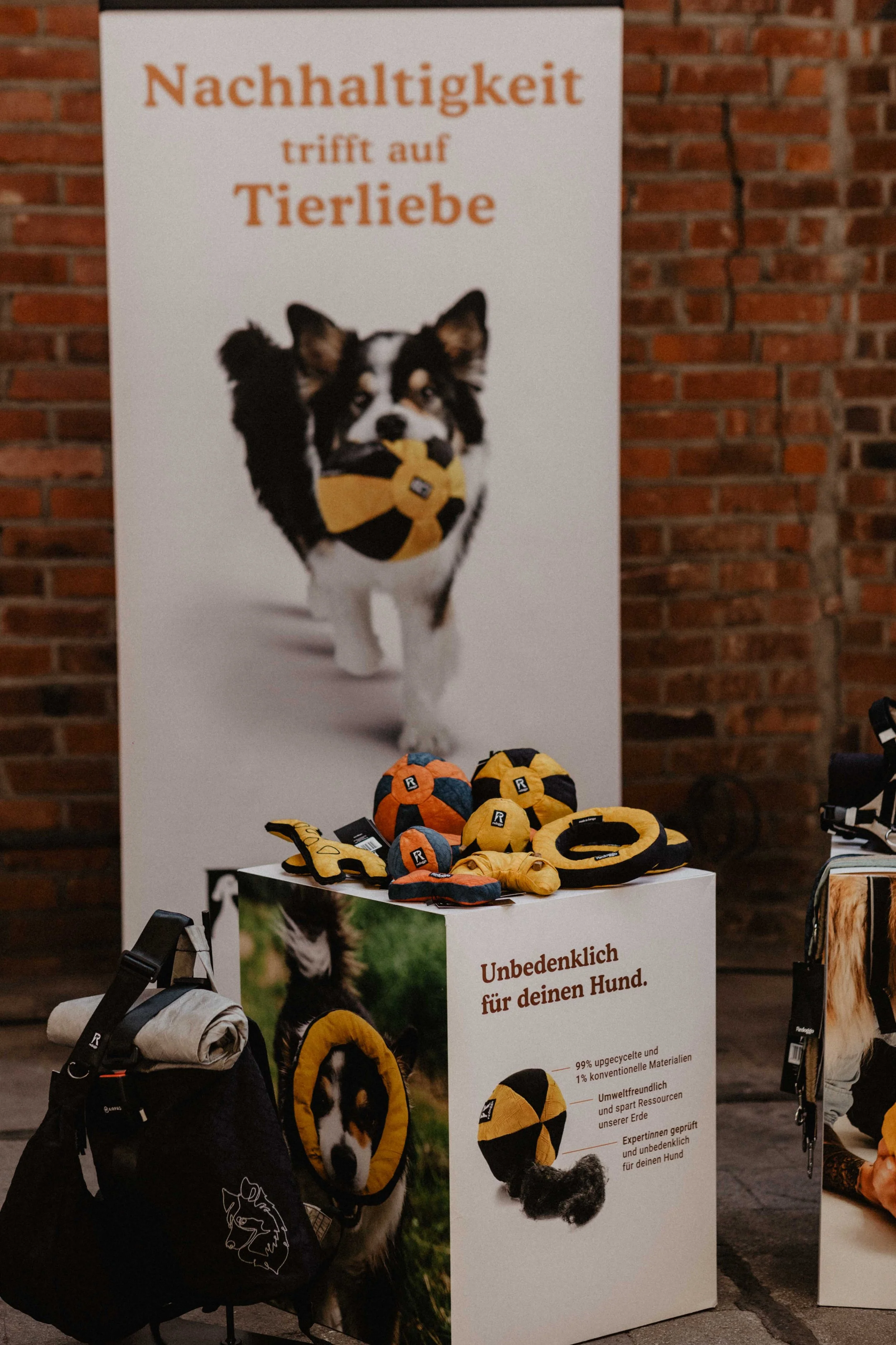 GELSENPAWS2025-9.jpg