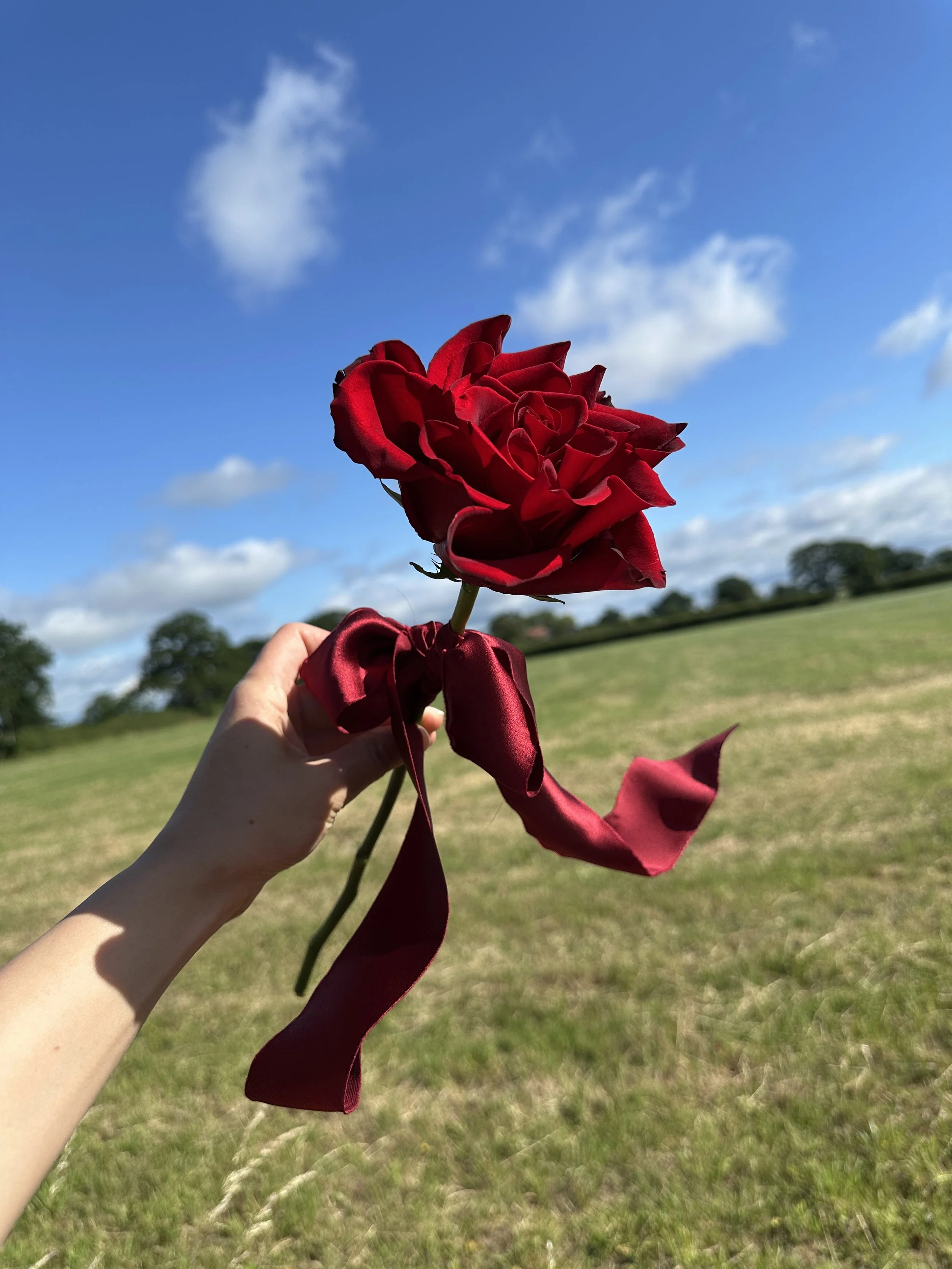 IMG_6317.jpeg