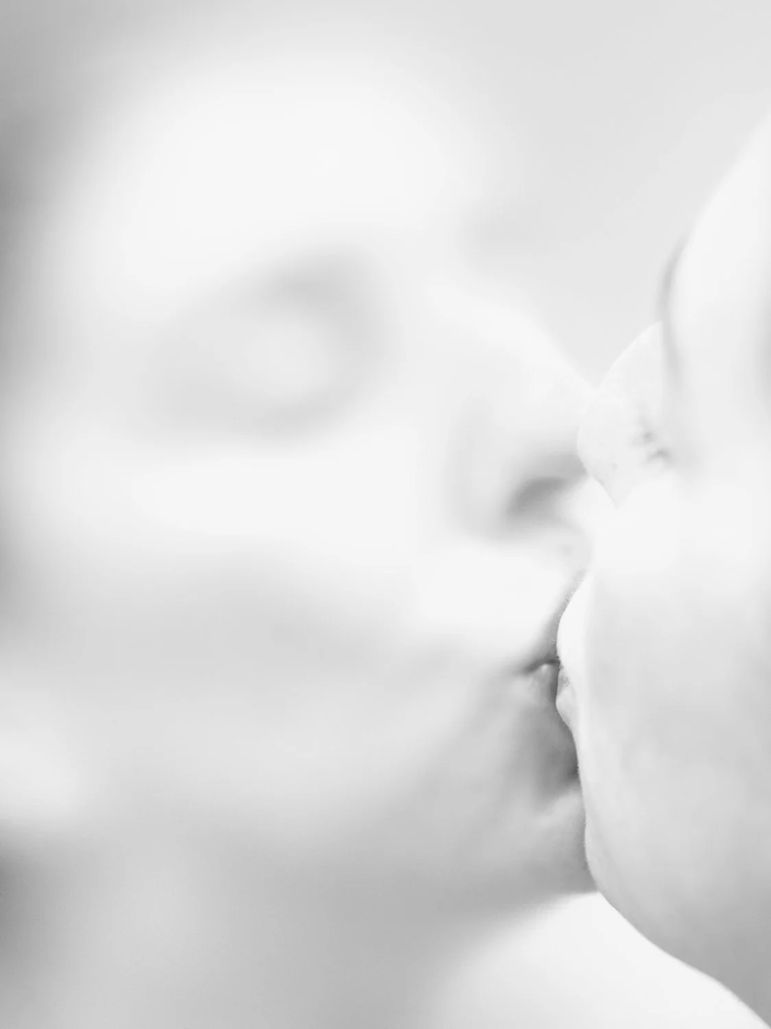 Kiss B&W.jpg