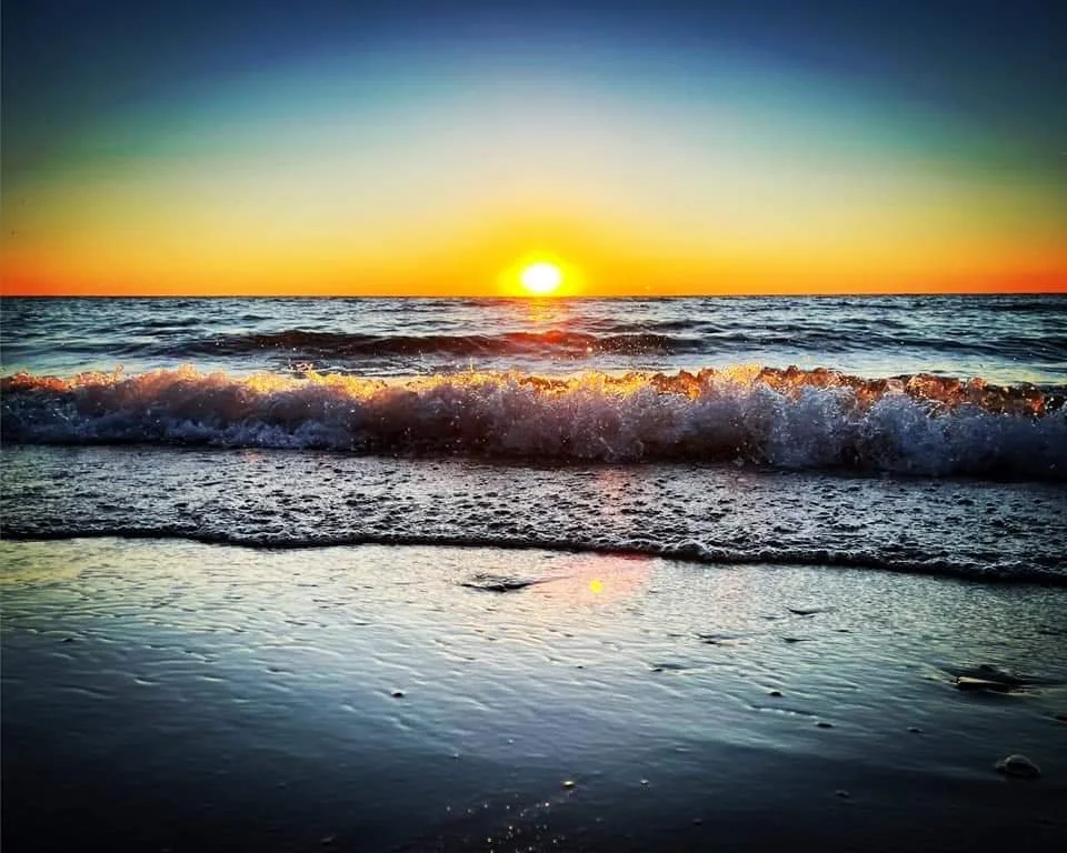 FB_IMG_1662208678725 (1).jpg