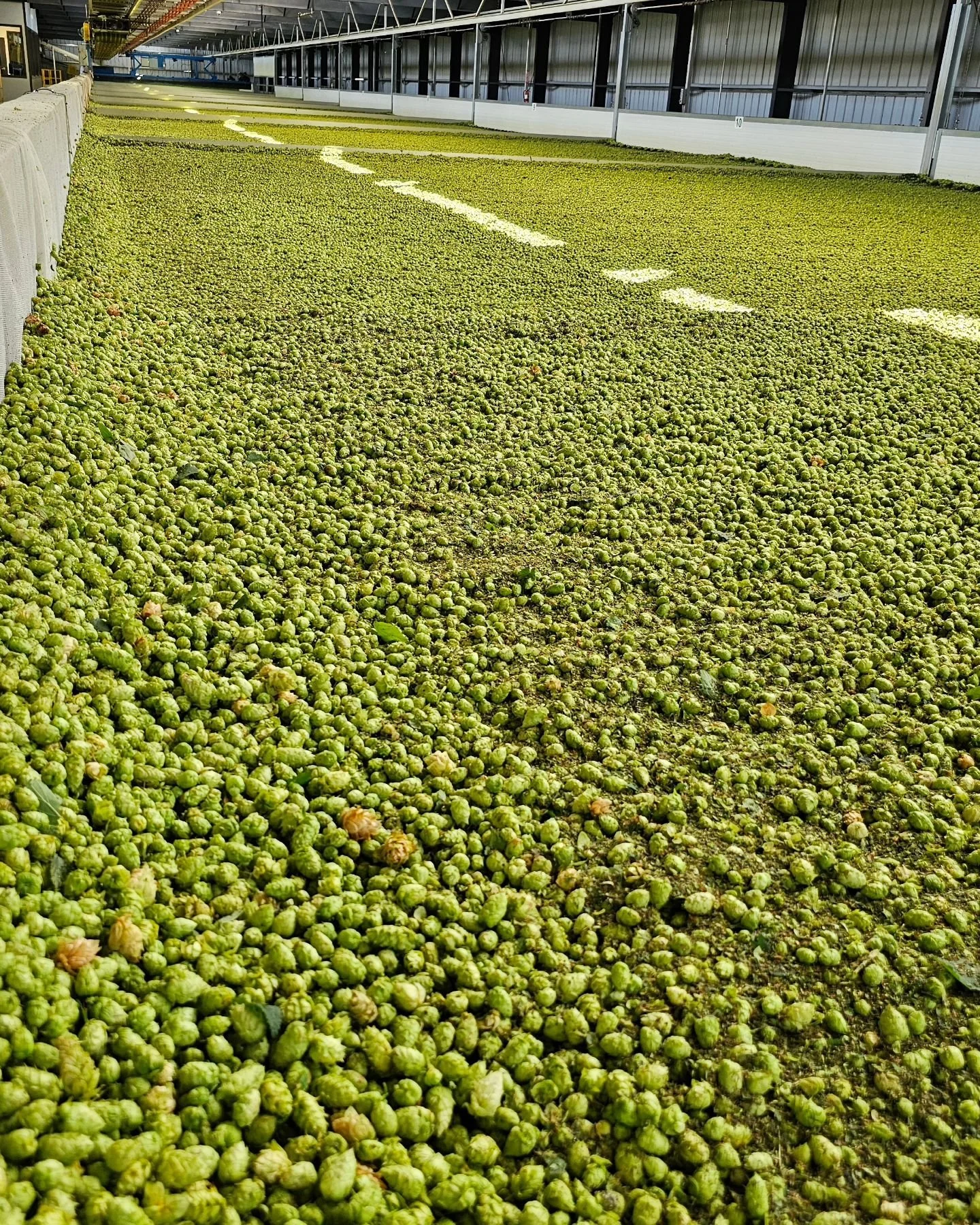 Huge thank you to Bill and everyone with the @loftusranches crew that took the time to make our first ever fresh hot pickup truly one to remember. My girls were beyond excited to get to participate! 

The smells at all of the various stages were abso