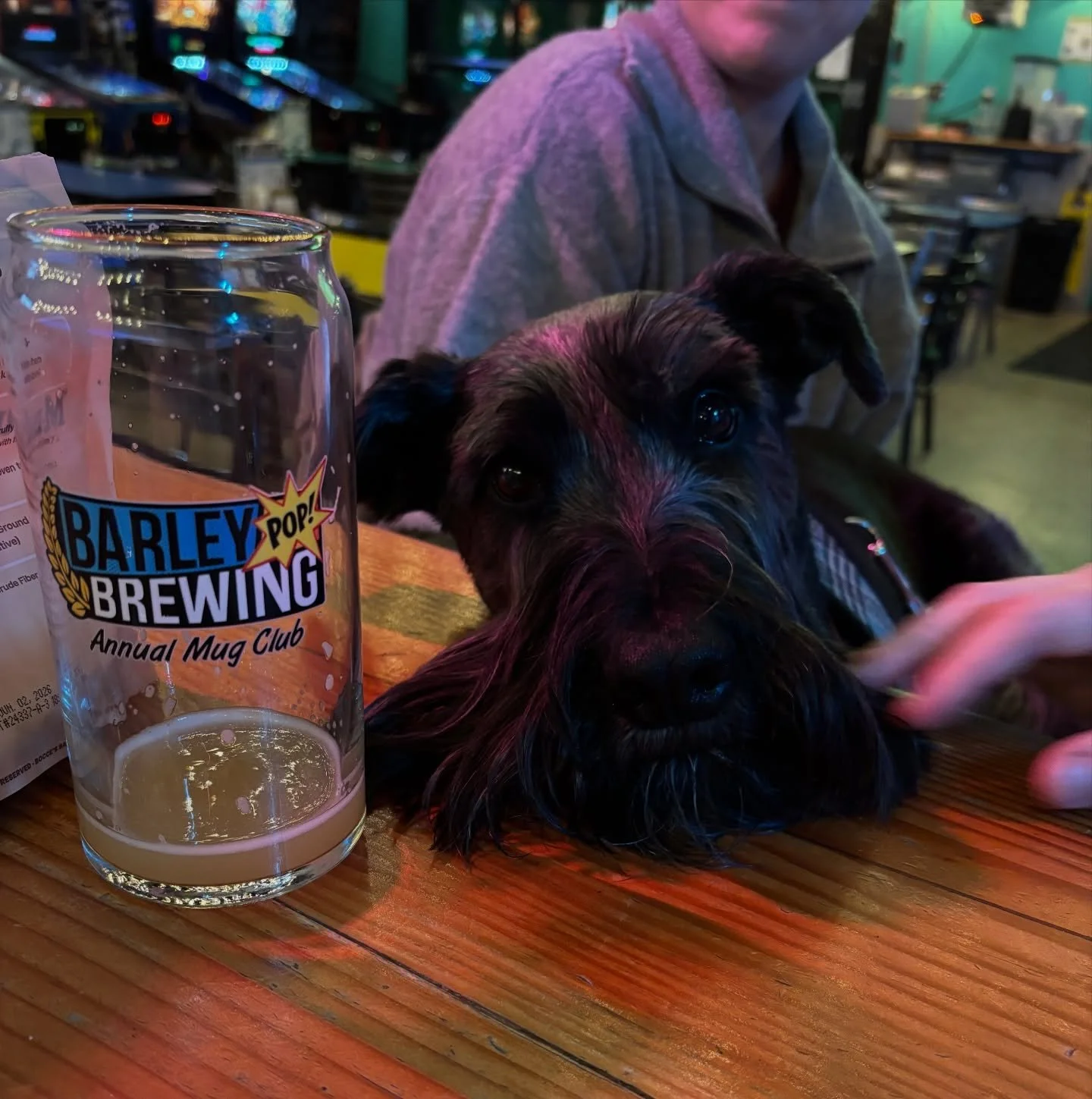 Everyone is welcome at Barley Pop! including our furry friends #dogfriendlybar #barleypopbrewing #nanobrewery #snohomishbeer #craftbeer