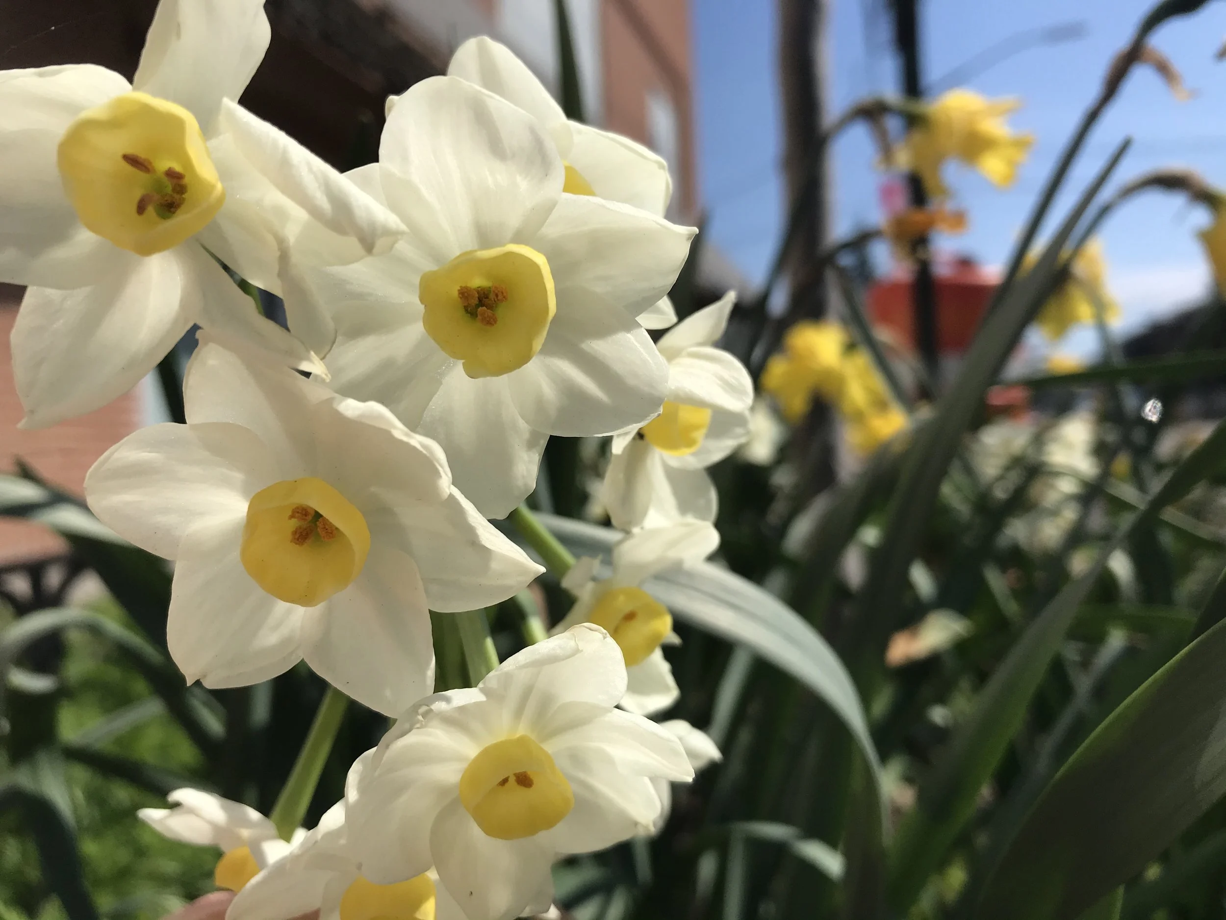 What spring teaches us about yoga