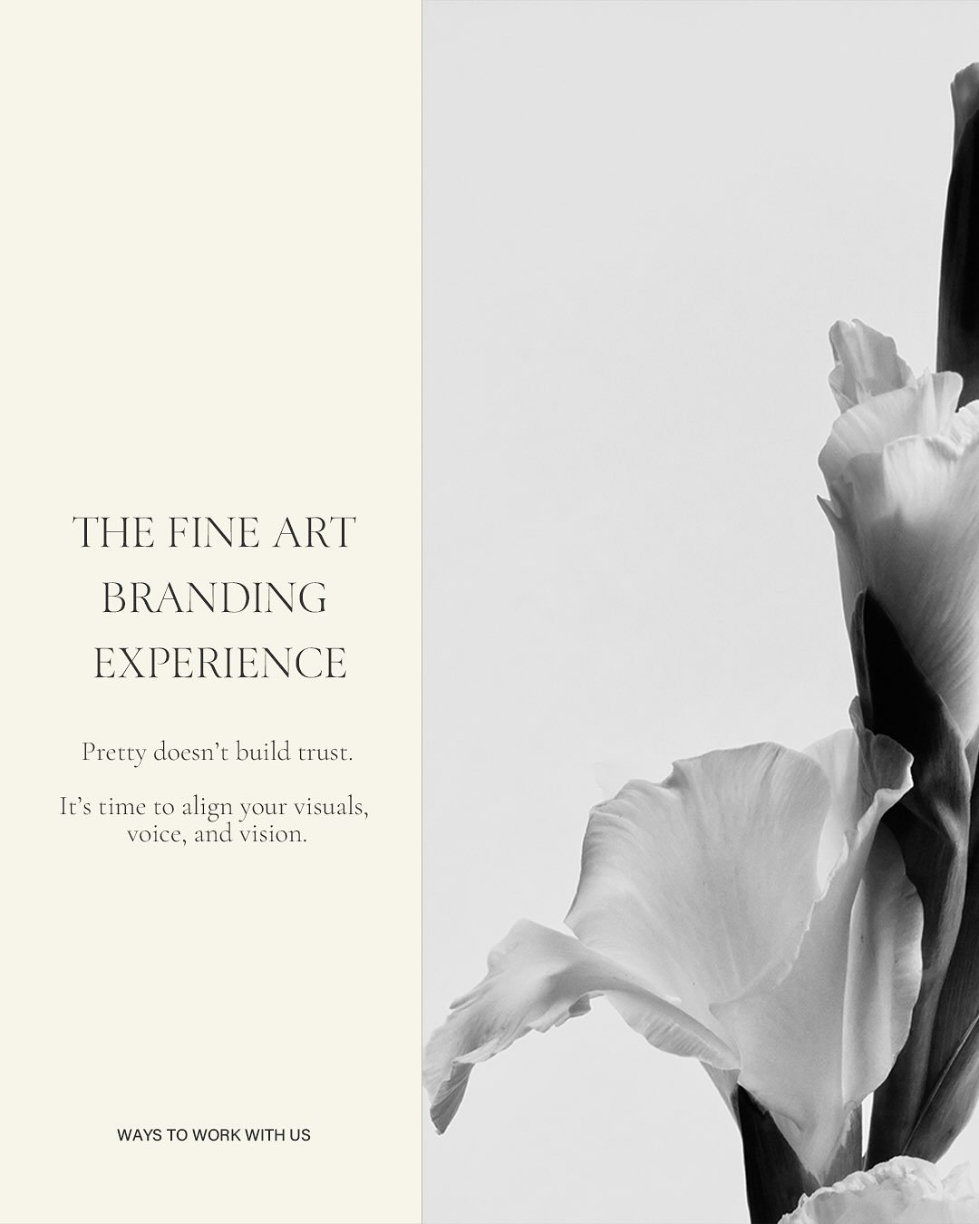 Pretty doesn&rsquo;t build trust.
Strategic, story-led design does.

✨ The Fine Art Branding Experience is our most transformative offer, crafted for intentional founders ready to refine their positioning, elevate their presence, and turn brand visio