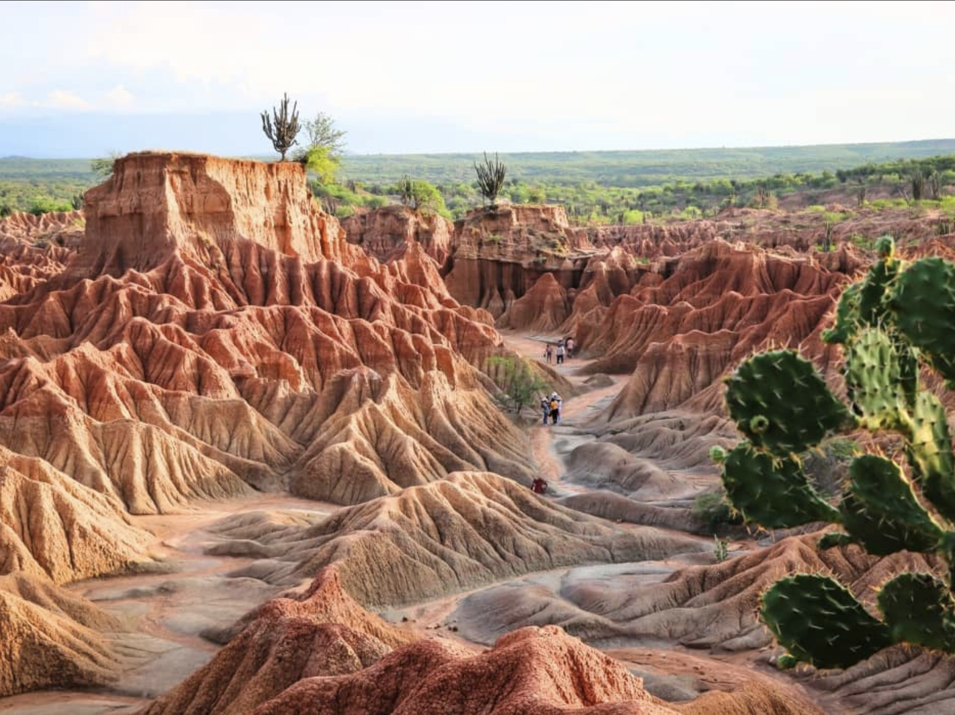 SHOW: “World Wild Hearts”