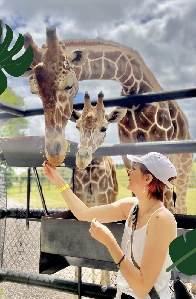 Safari Niagara Themepark