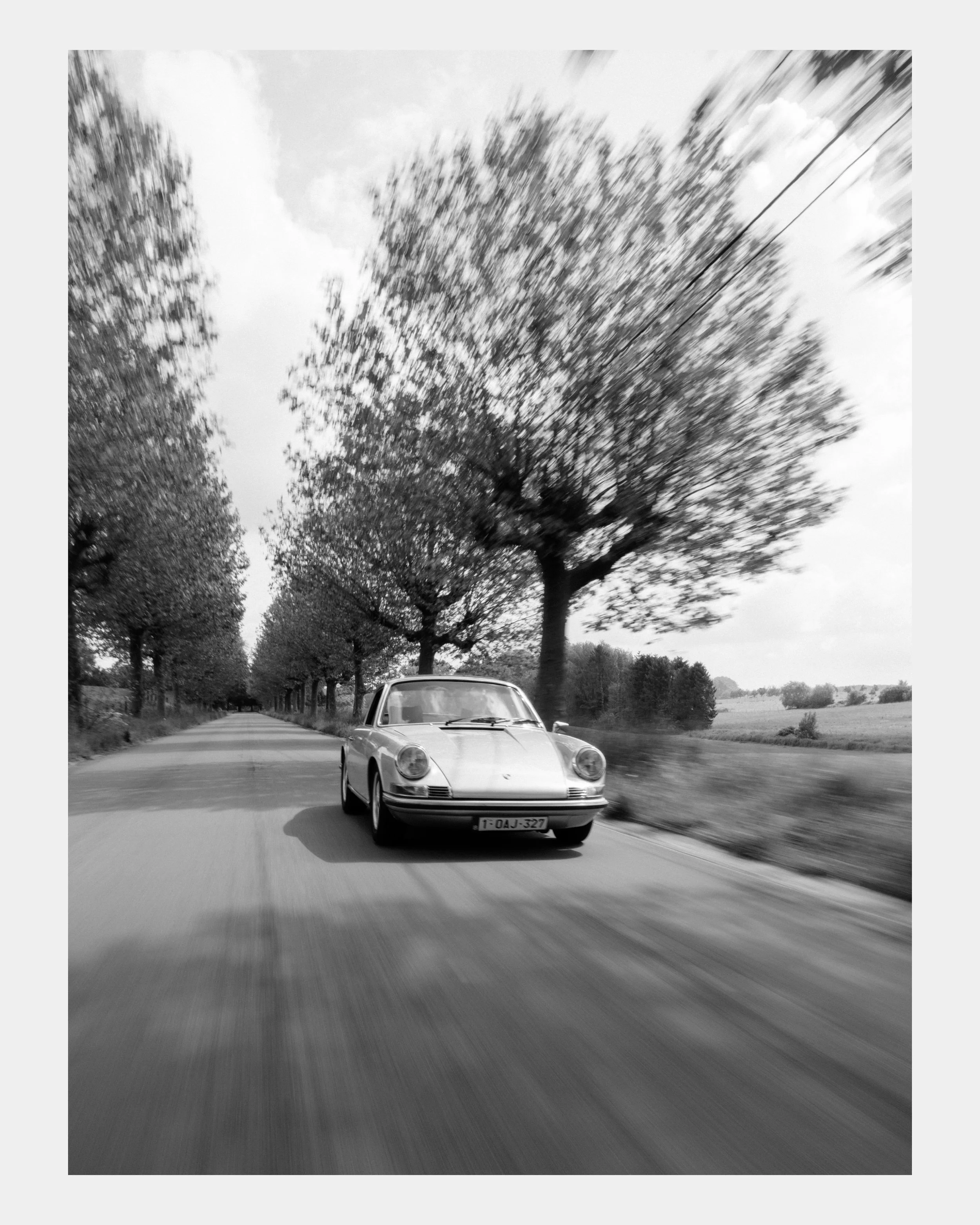 Cedric de Roover collage website.007.jpeg