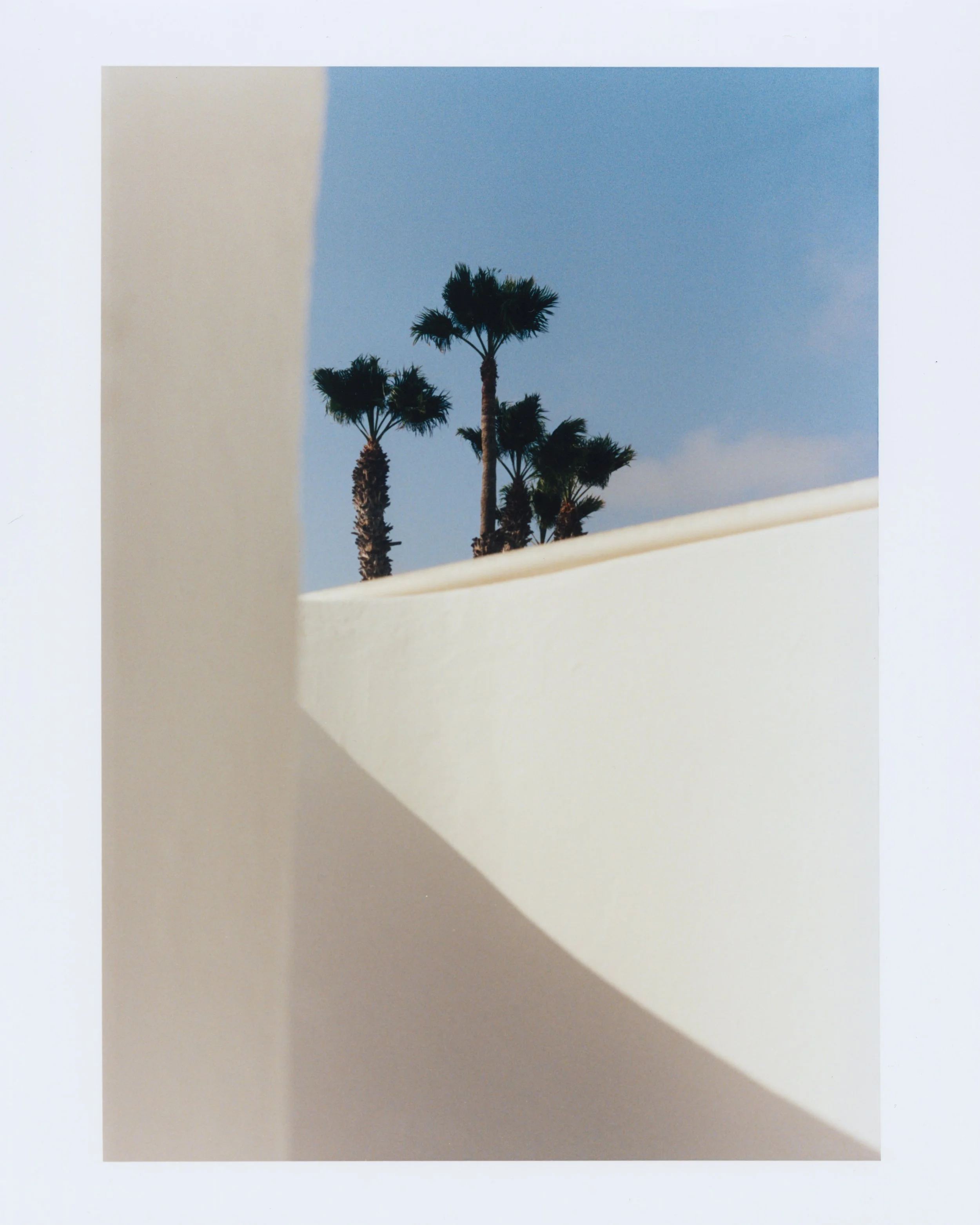 Photographie argentique "Azul Palms" prise à Lanzarote en 2022.