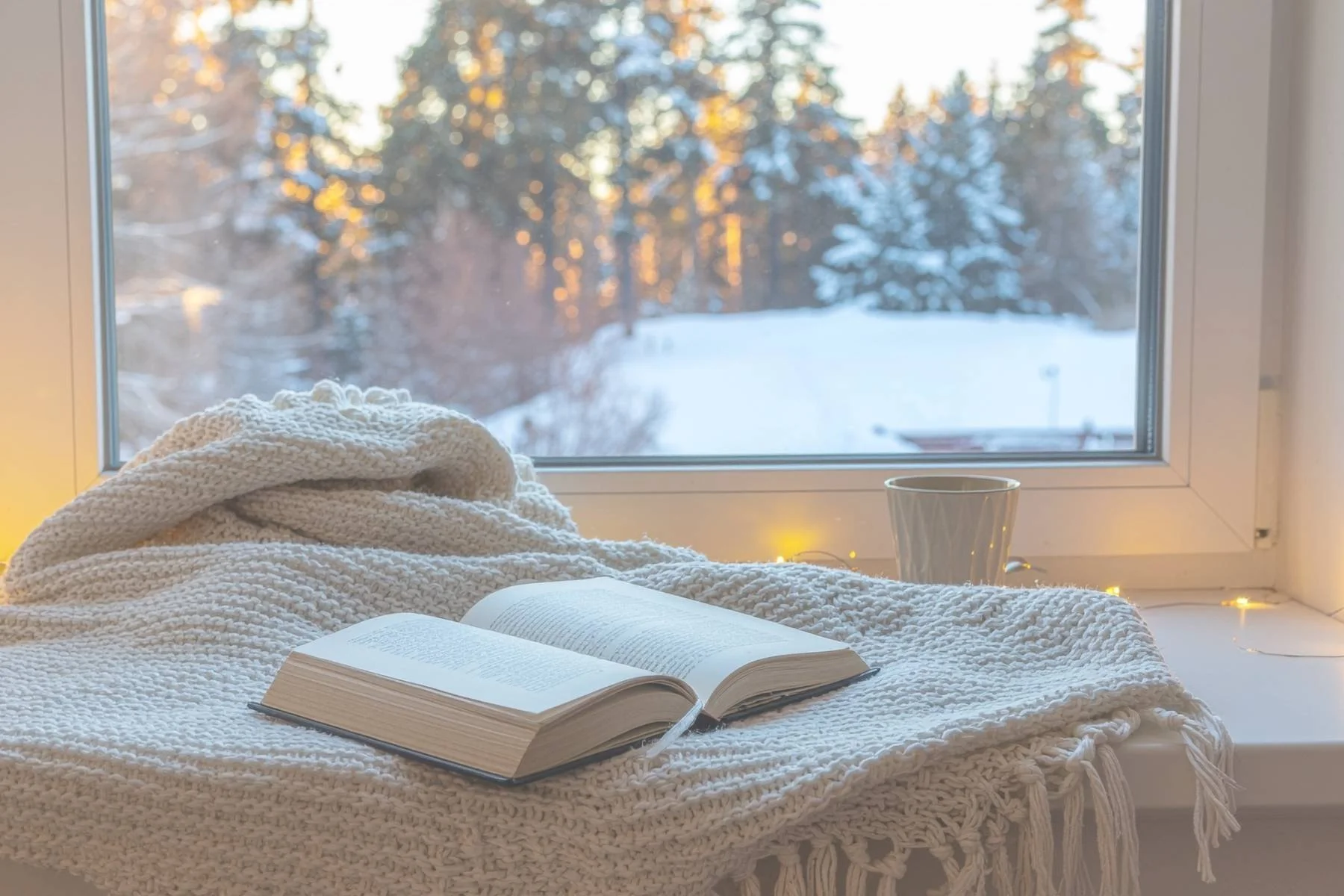 Book on a blanket with cup facing out of a window to snowy forest, showing calm winter self care moment supporting nervous system regulation and mental wellbeing