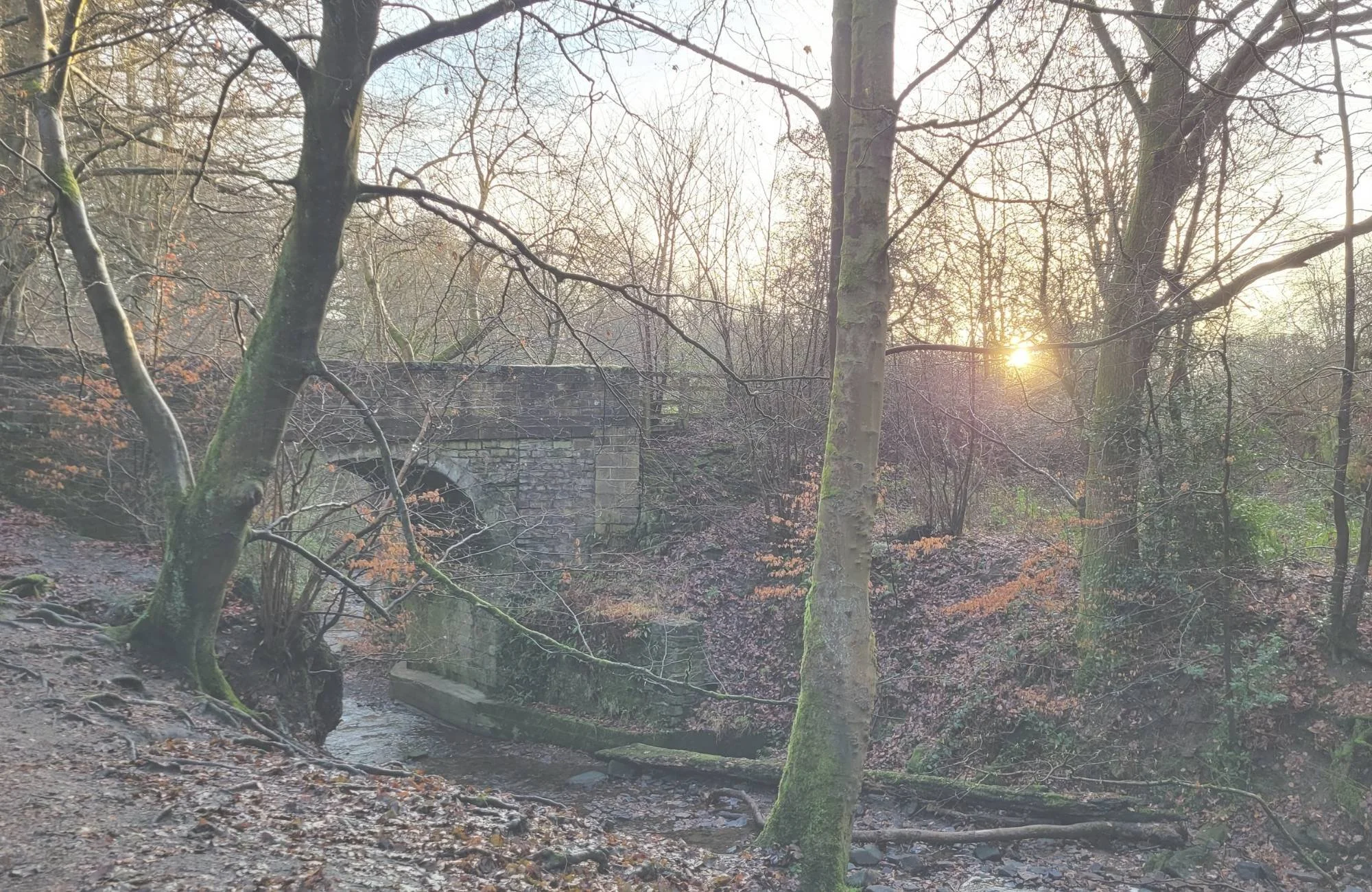Winter woodland scene with bridge, stream and low sun representing rest, reflection, and seasonal wellbeing in January