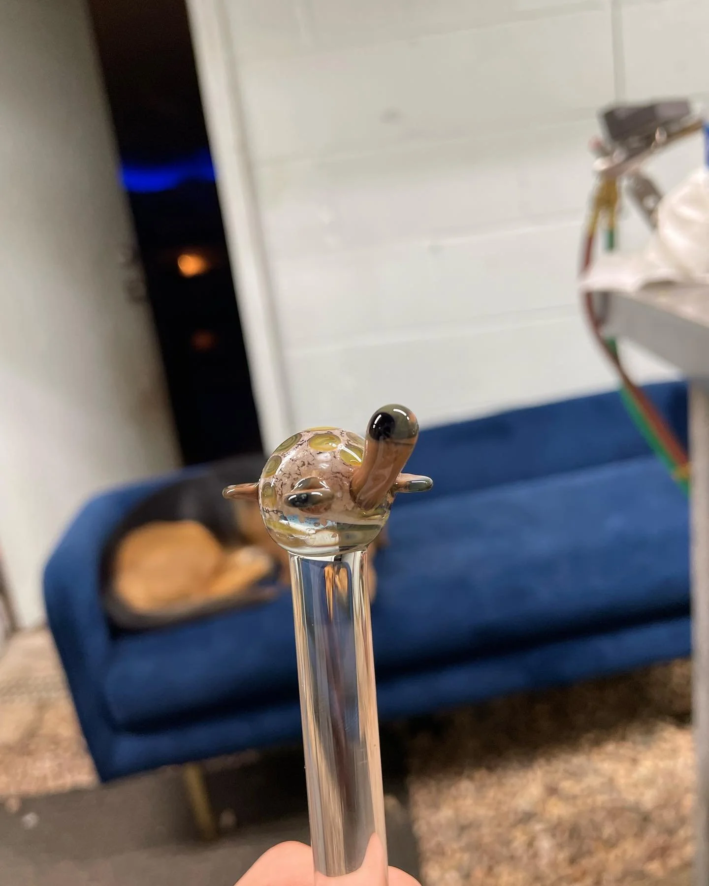 Glass turtle anyone? Come learn to make something you have always wanted to out of glass!

#glass #borosilicate #boro #glassart #glassclass #turtle #turtles