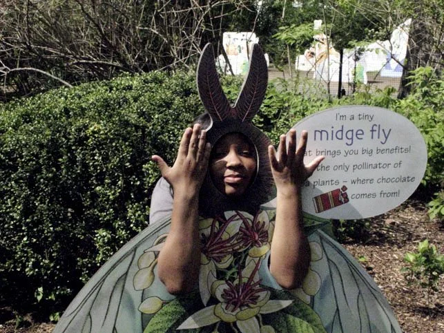 Child dressed as a butterfly and wearing a bunny ear headband, standing behind a sign about midge flies in a garden.