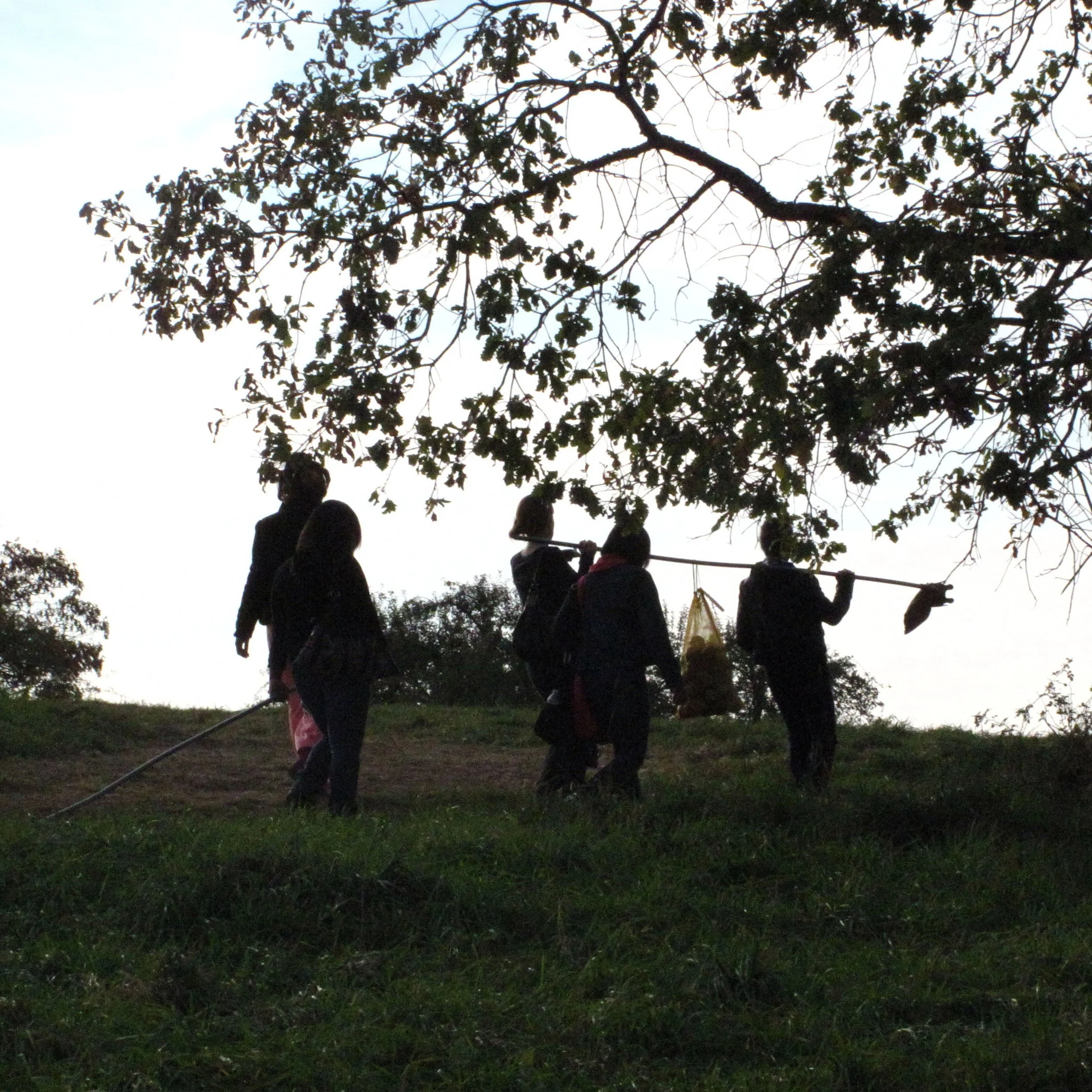 Group of five children walking on grass, carrying sticks with bags hanging from them, under a large tree silhouette in the background.