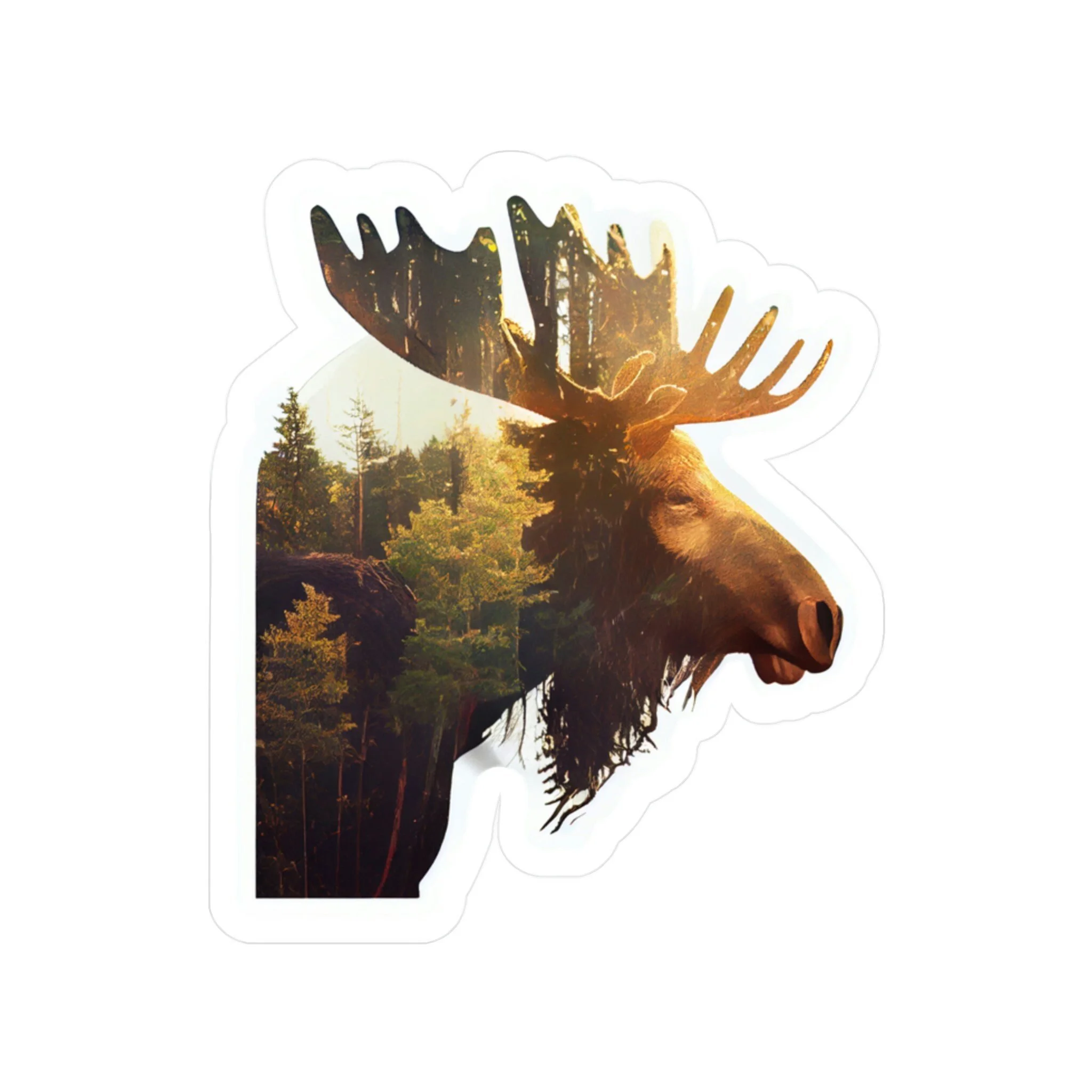 https://i.etsystatic.com/37421739/r/il/31a280/4622066675/il_fullxfull.4622066675_nkx1.jpg