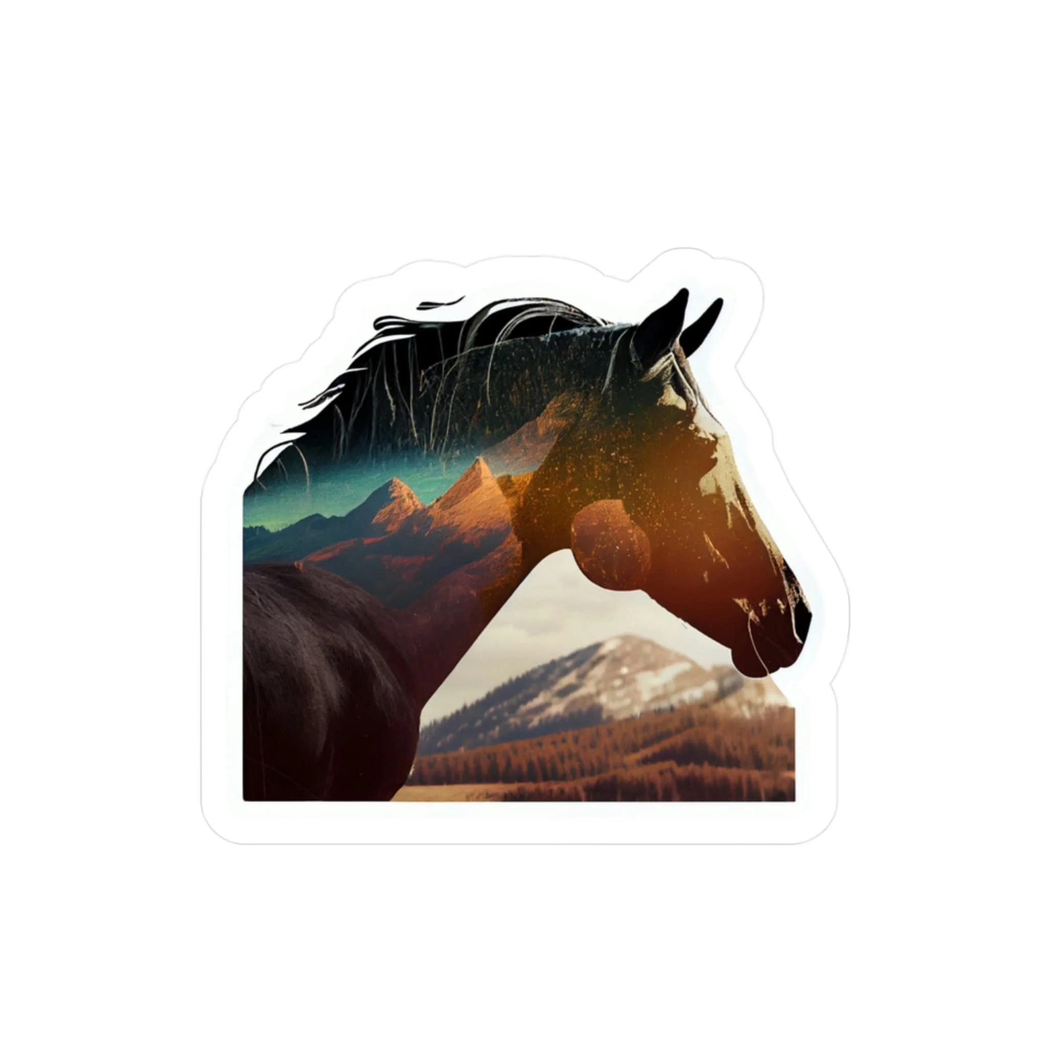 https://i.etsystatic.com/37421739/r/il/f7219d/4571887614/il_fullxfull.4571887614_ddky.jpg