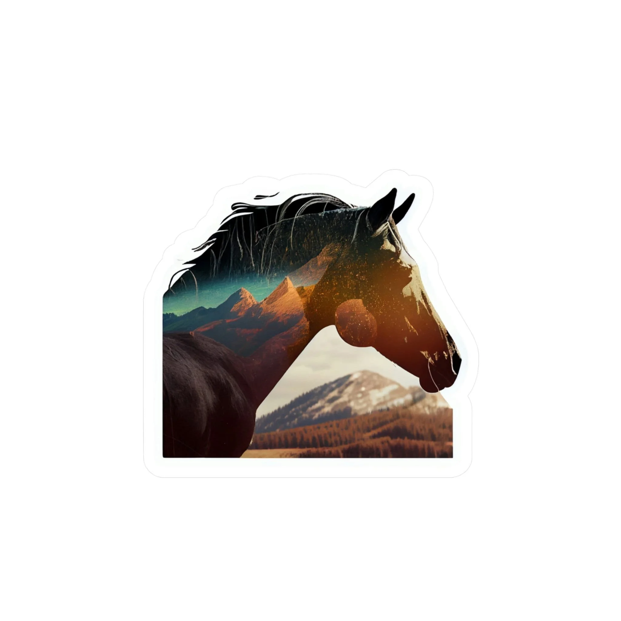 https://i.etsystatic.com/37421739/r/il/2ab2ec/4571887948/il_fullxfull.4571887948_gwwx.jpg
