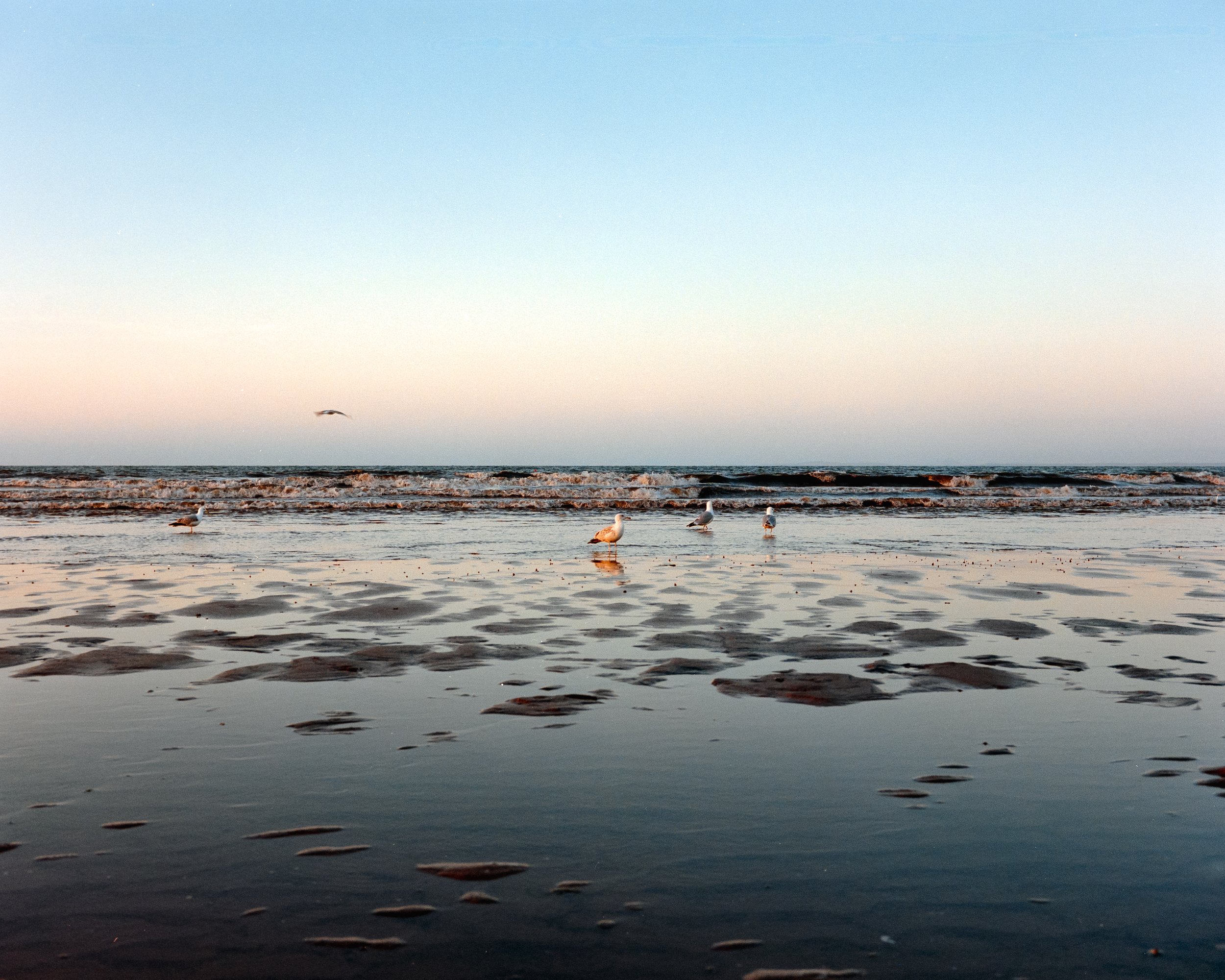 T2025 爱丁堡格拉斯哥-23.jpg