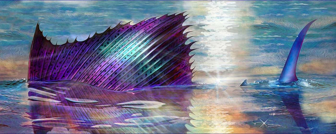 Atlantic Sailfish displays colorful sail