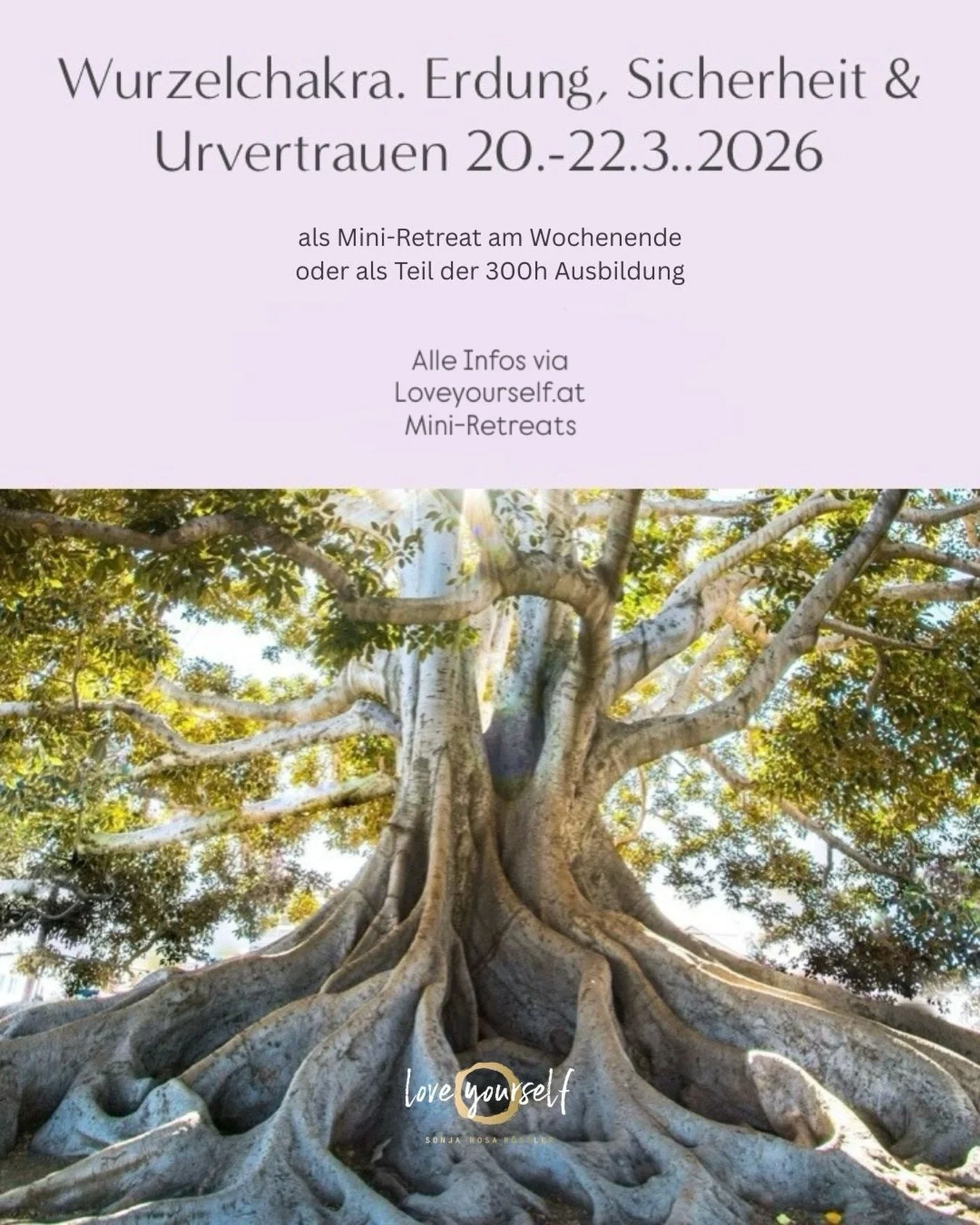 ERDE &middot; Muladhara Chakra

Stabilit&auml;t. Verk&ouml;rperung. Ankommen. Struktur: Ritual

Dieses erste Modul l&auml;dt dich ein, wirklich hier zu sein.
Im K&ouml;rper. Im Moment. In deinem Leben.

Wir arbeiten mit der Qualit&auml;t der Erde &nd