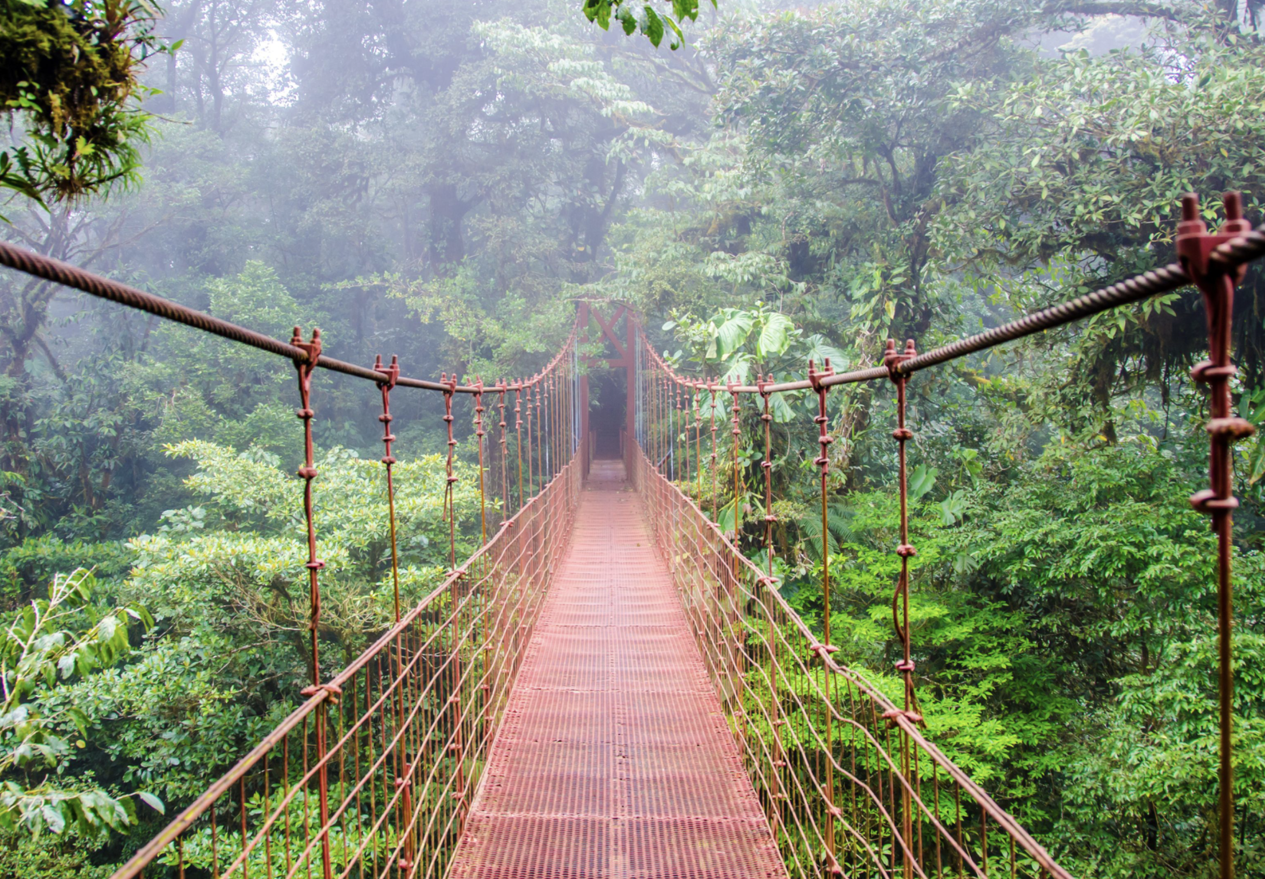 Screenshot 2025-08-28 at 1.35.08 PM.png