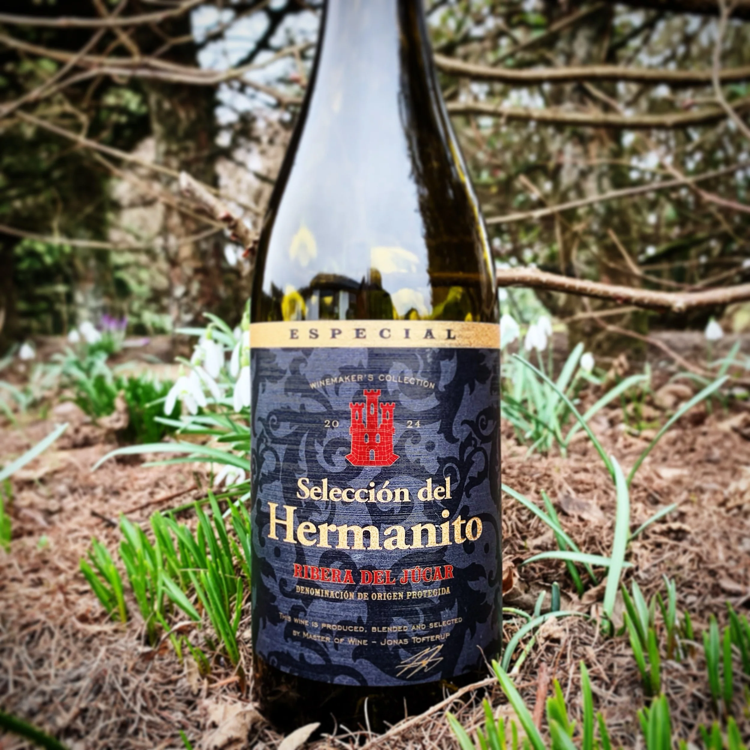 Bodegas Trenza - Selección del Hermanito Especial 2024