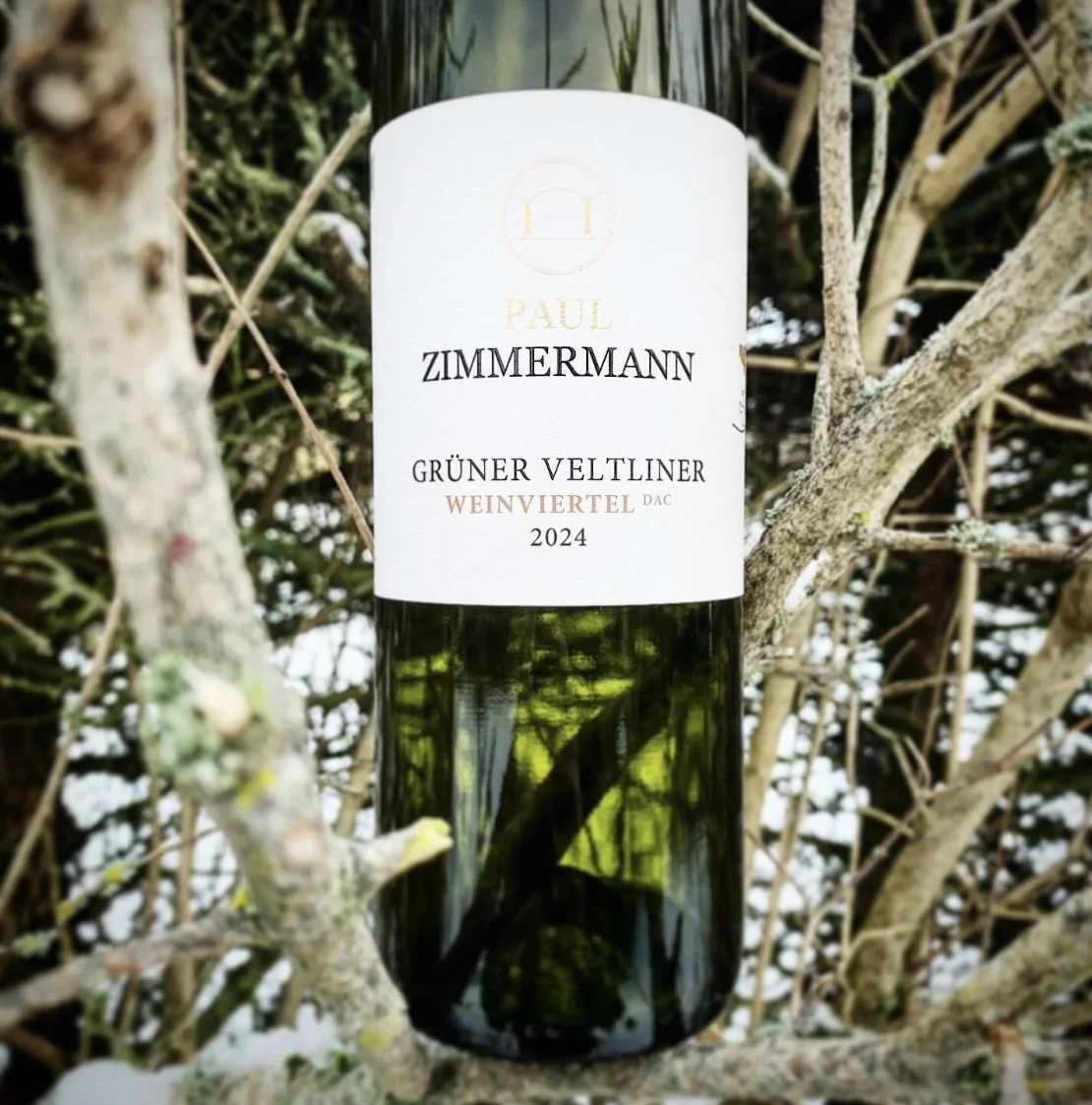 Winzerhof Paul Zimmermann - Weinviertel DAC Grüner Veltliner 2024