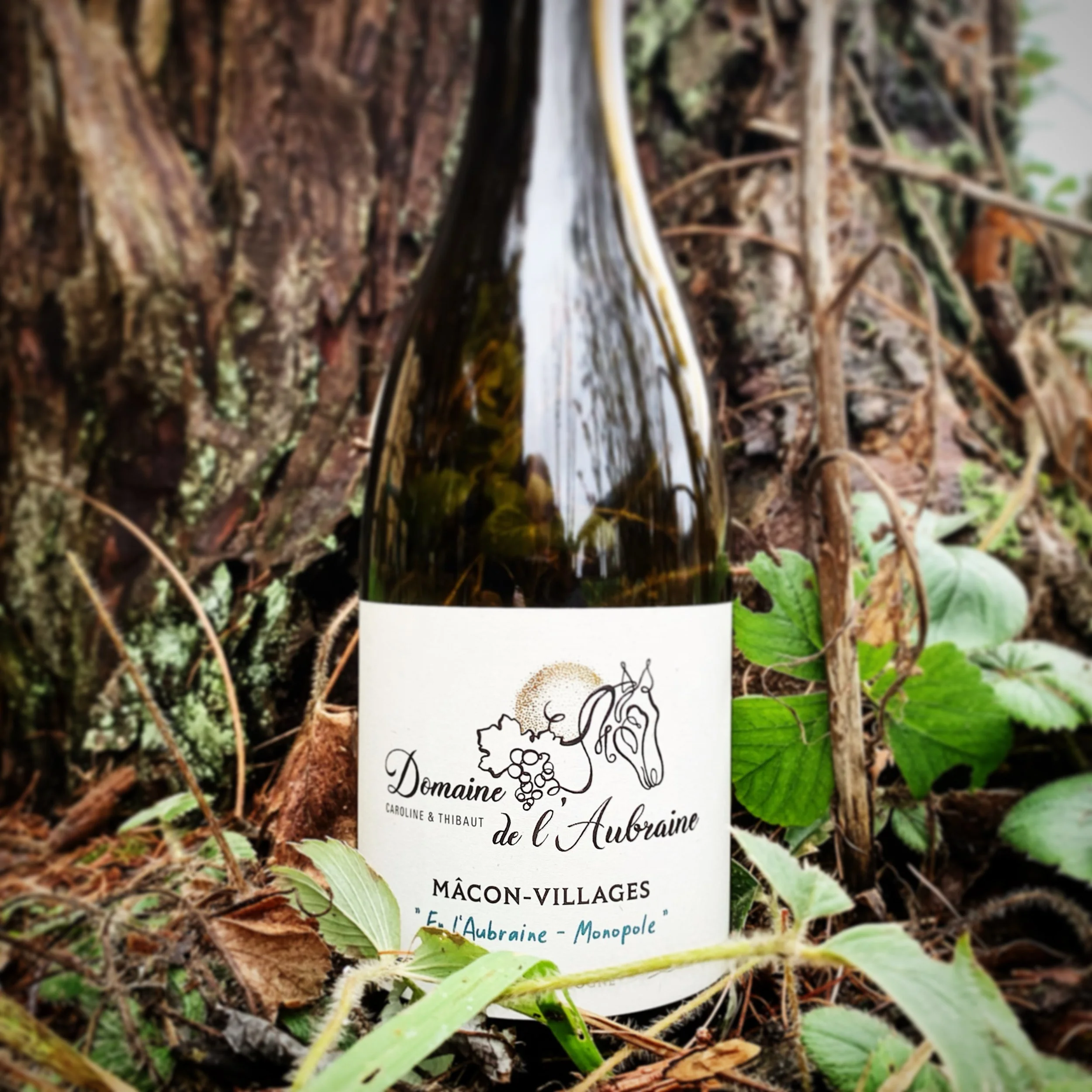 Domaine de L’Aubraine - En L’Aubraine Monopole 2023