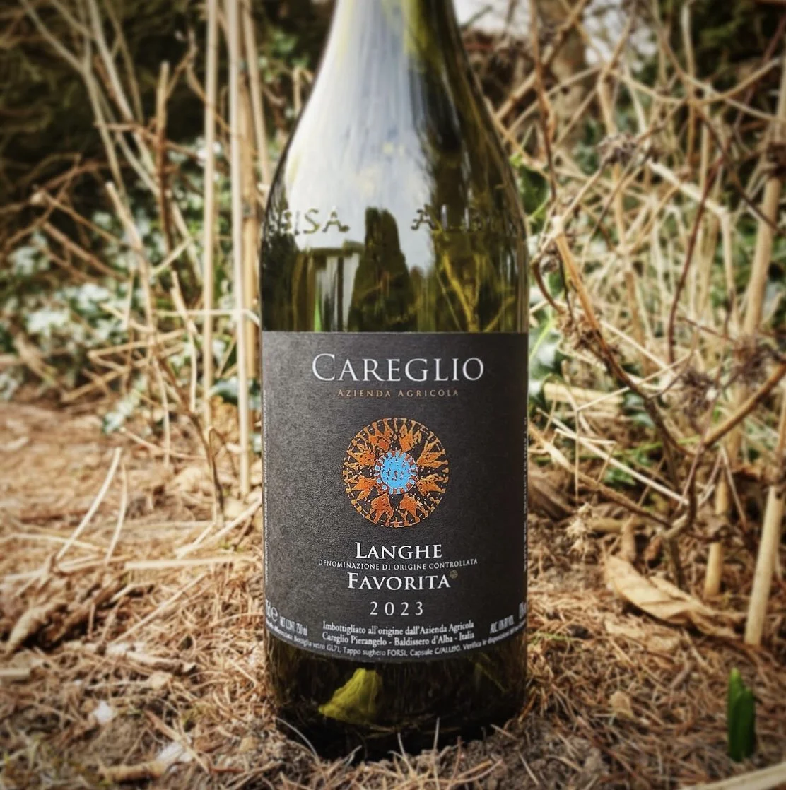 Cantina Careglio - Langhe Favorita 2023