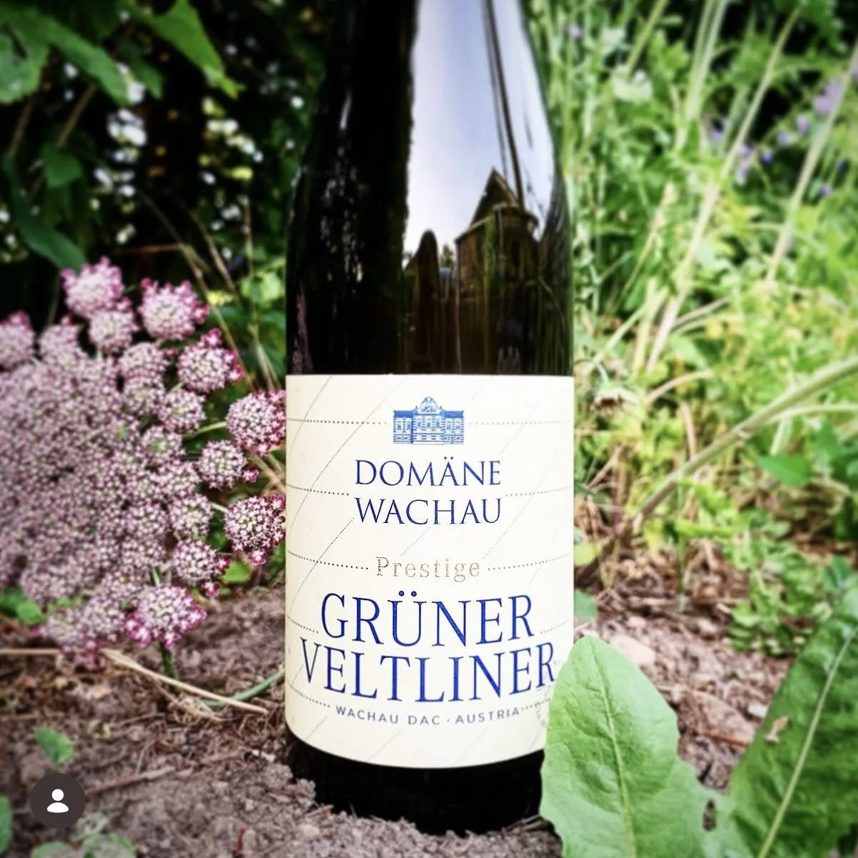 Domäne Wachau - Grüner Veltliner Prestige 2025