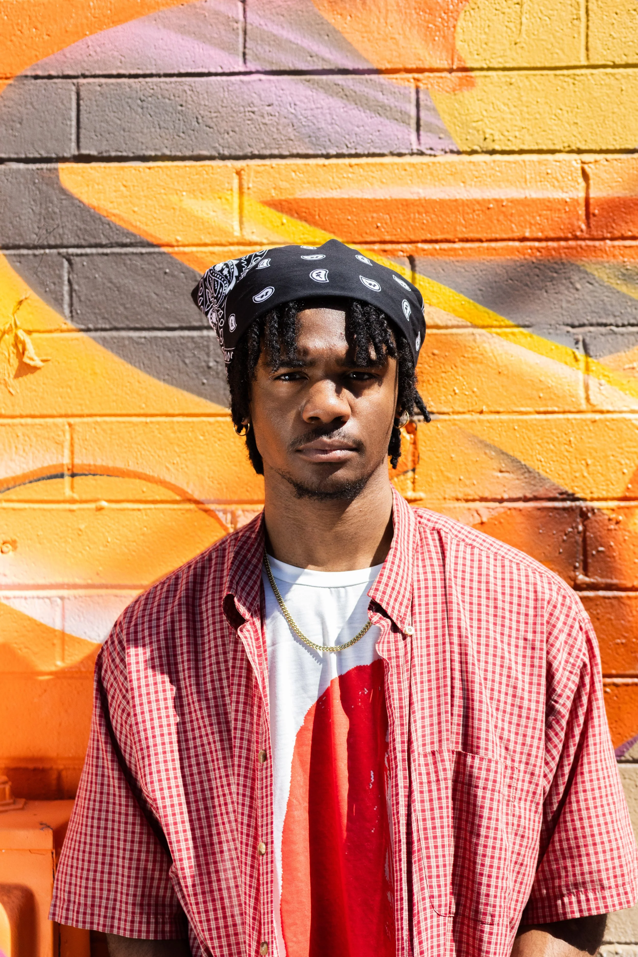 Snapdrop Image 100.jpg