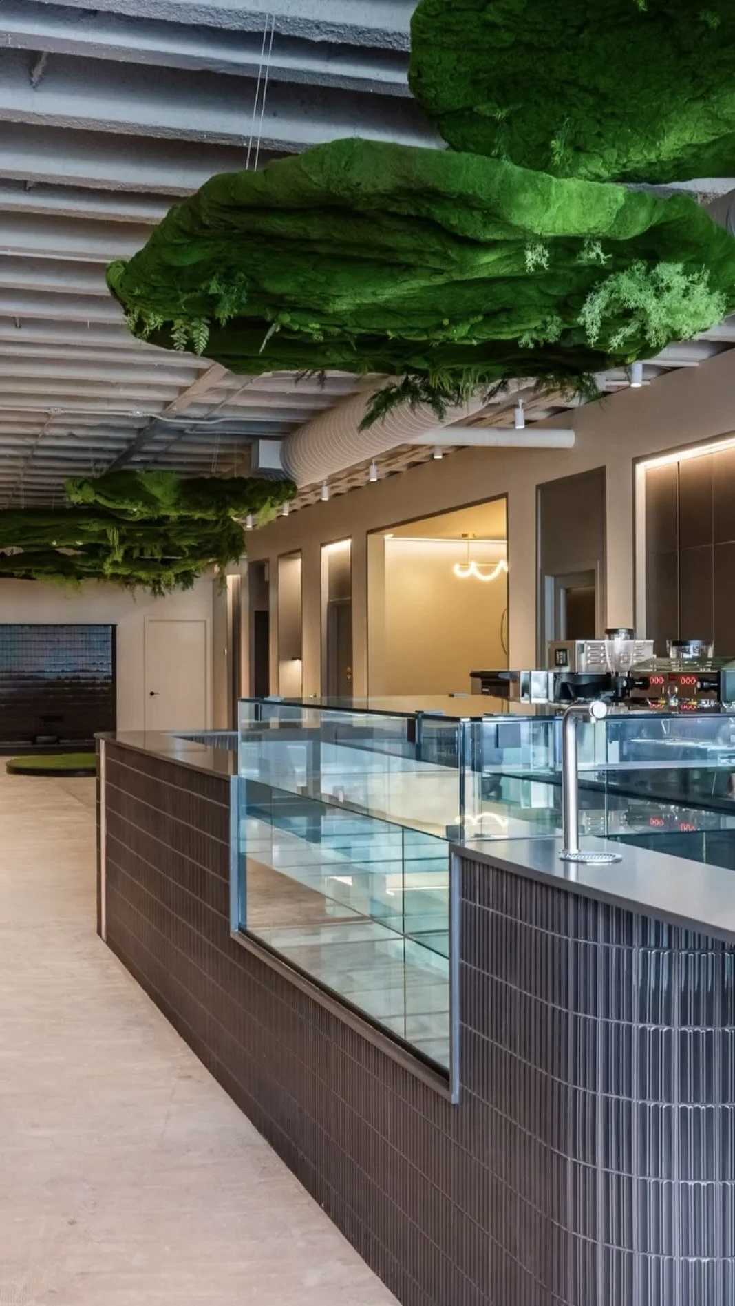 Interior of a modern cafe with a dark brown counters and glass display case, trees attached to the ceiling, and light-colored walls.