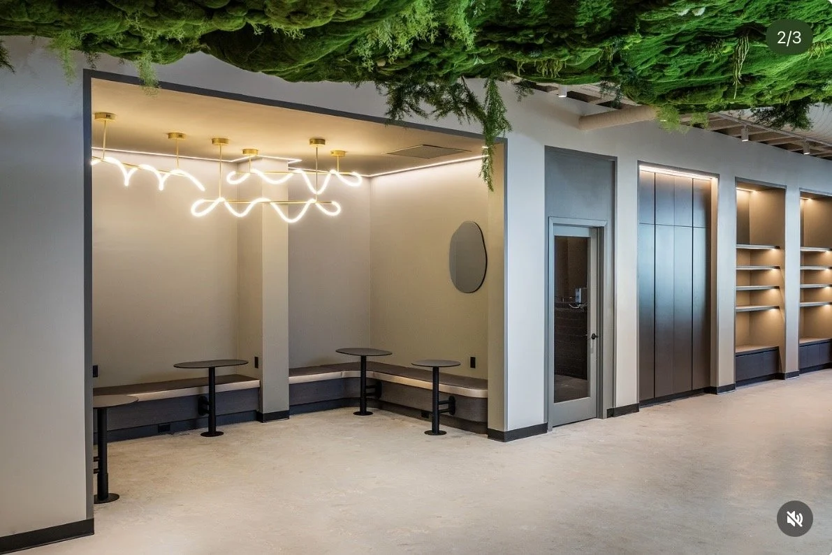 Modern interior space with built-in seating, small tables, a decorative mirror on the wall, and plant ceiling decor.