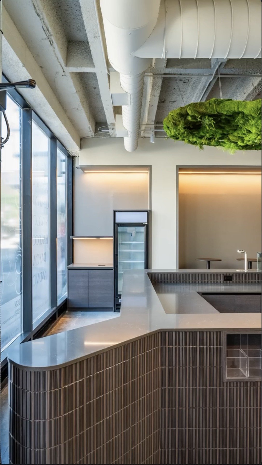 Modern cafe or restaurant interior with a curved wood bar counter, large windows, an industrial ceiling with exposed pipes, and a lettuce head hanging from the ceiling.