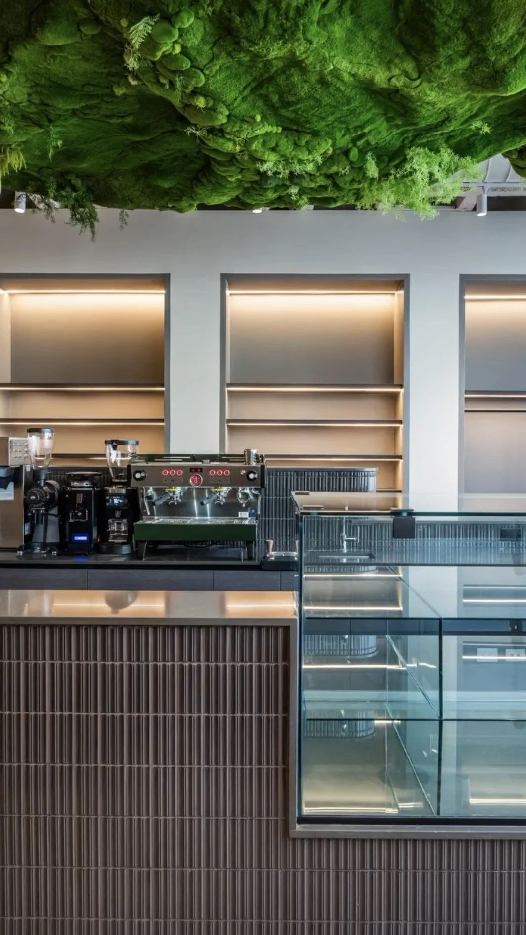 Modern coffee shop interior with espresso machine, glass display case, and wall shelves behind the counter, decorated with a green moss ceiling.