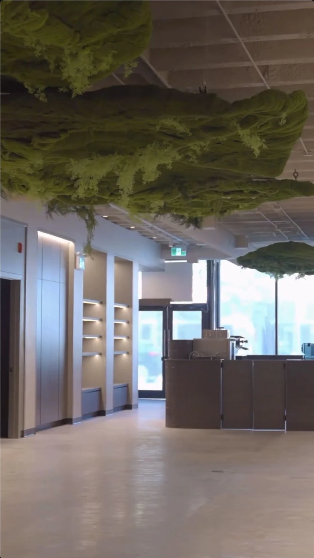 Indoor scene of a modern office or lobby area with a ceiling display of large green moss or artificial greenery and a reception desk near a large window.