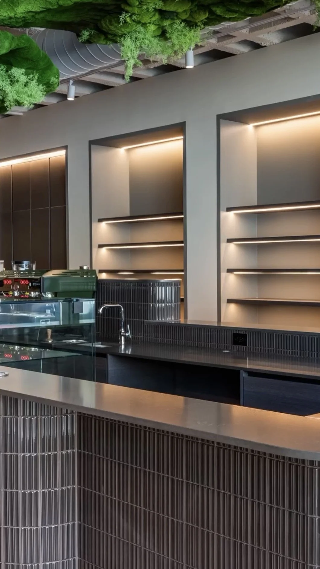 Modern cafe or bar interior with a gray wall featuring built-in shelves with integrated lighting, a countertop with a sink, and a display case with a glass front. The ceiling has visible industrial ducts and green plants.